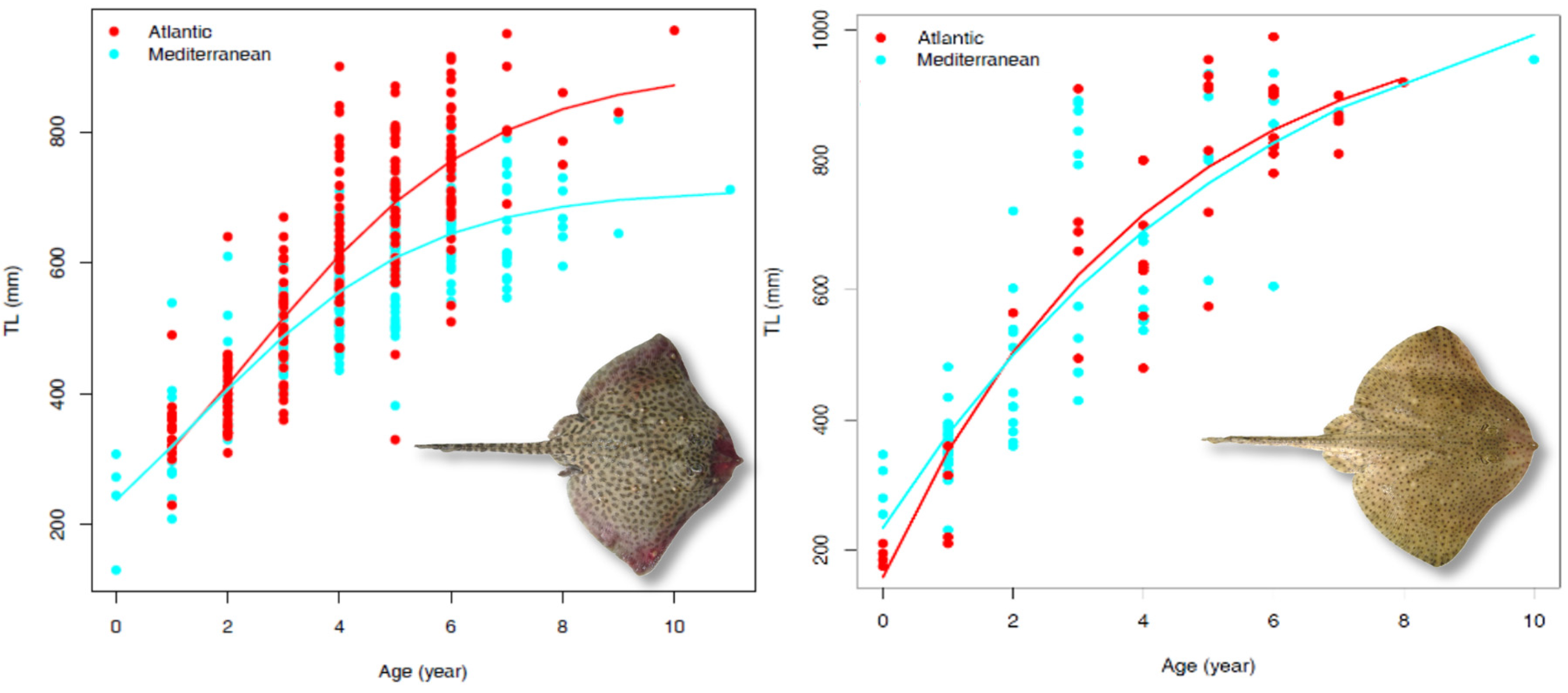 Biology 13 00020 g003