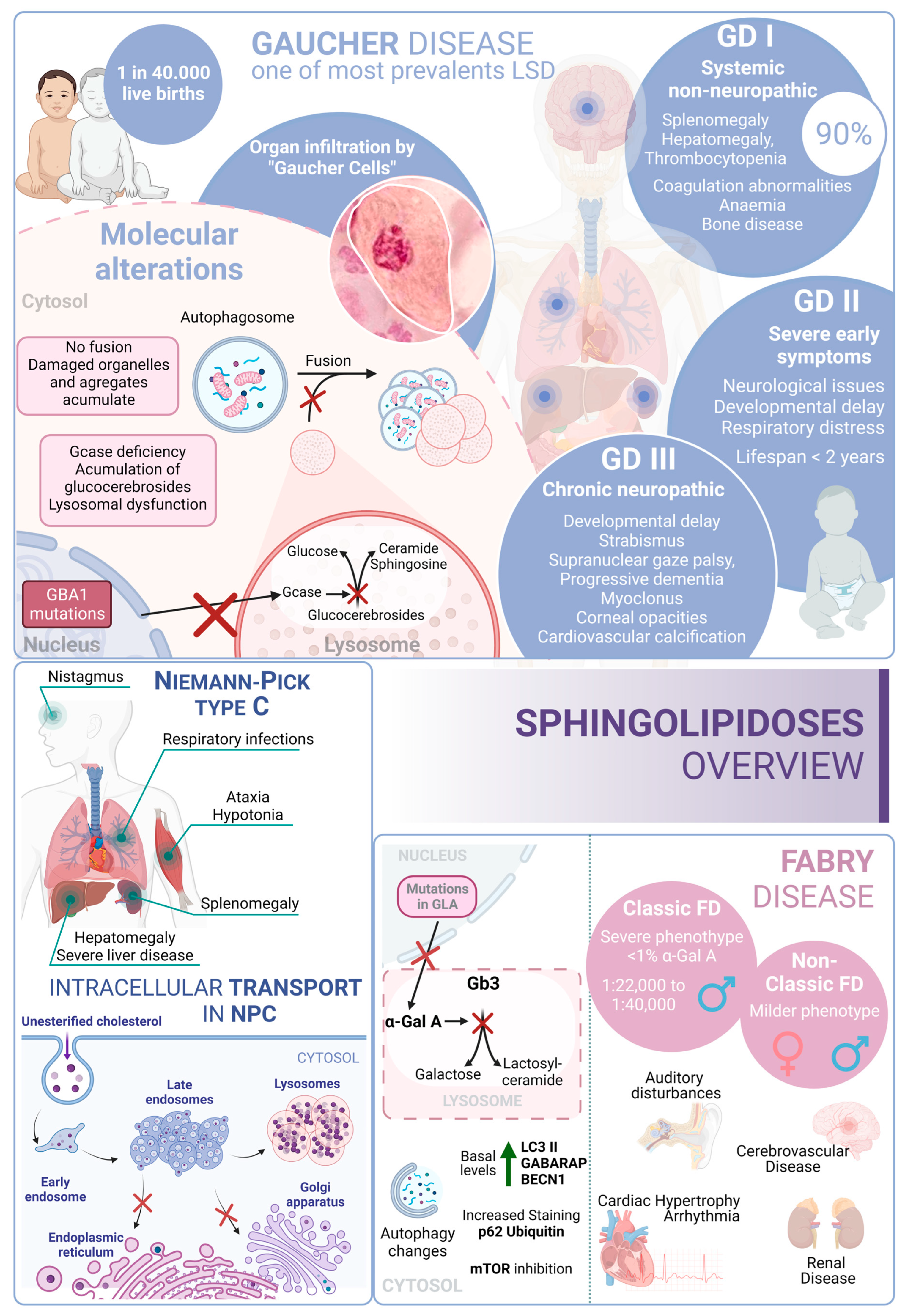 Biology 13 00034 g004 Biology 13 00034 g004