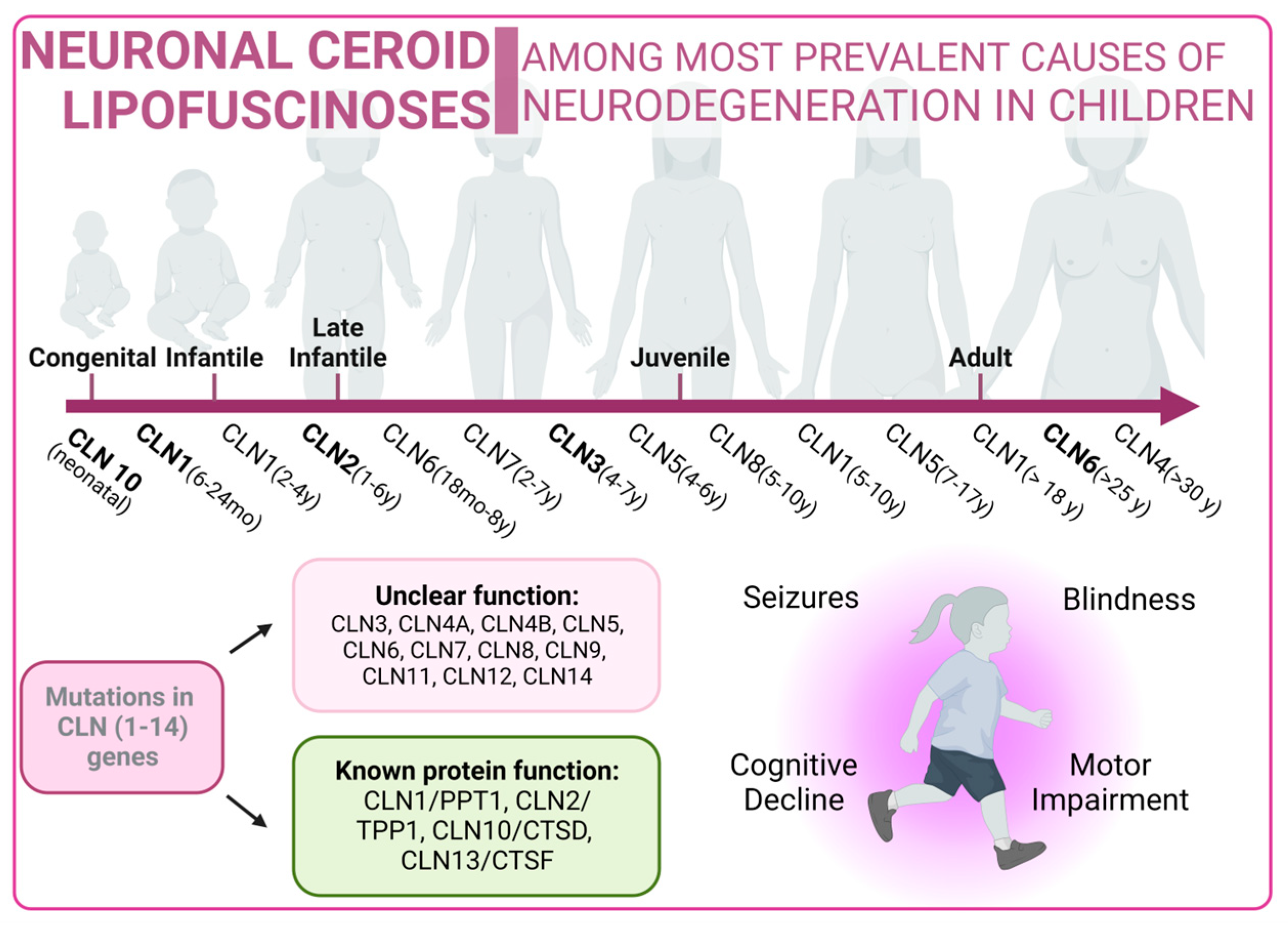 Biology 13 00034 g005 Biology 13 00034 g005