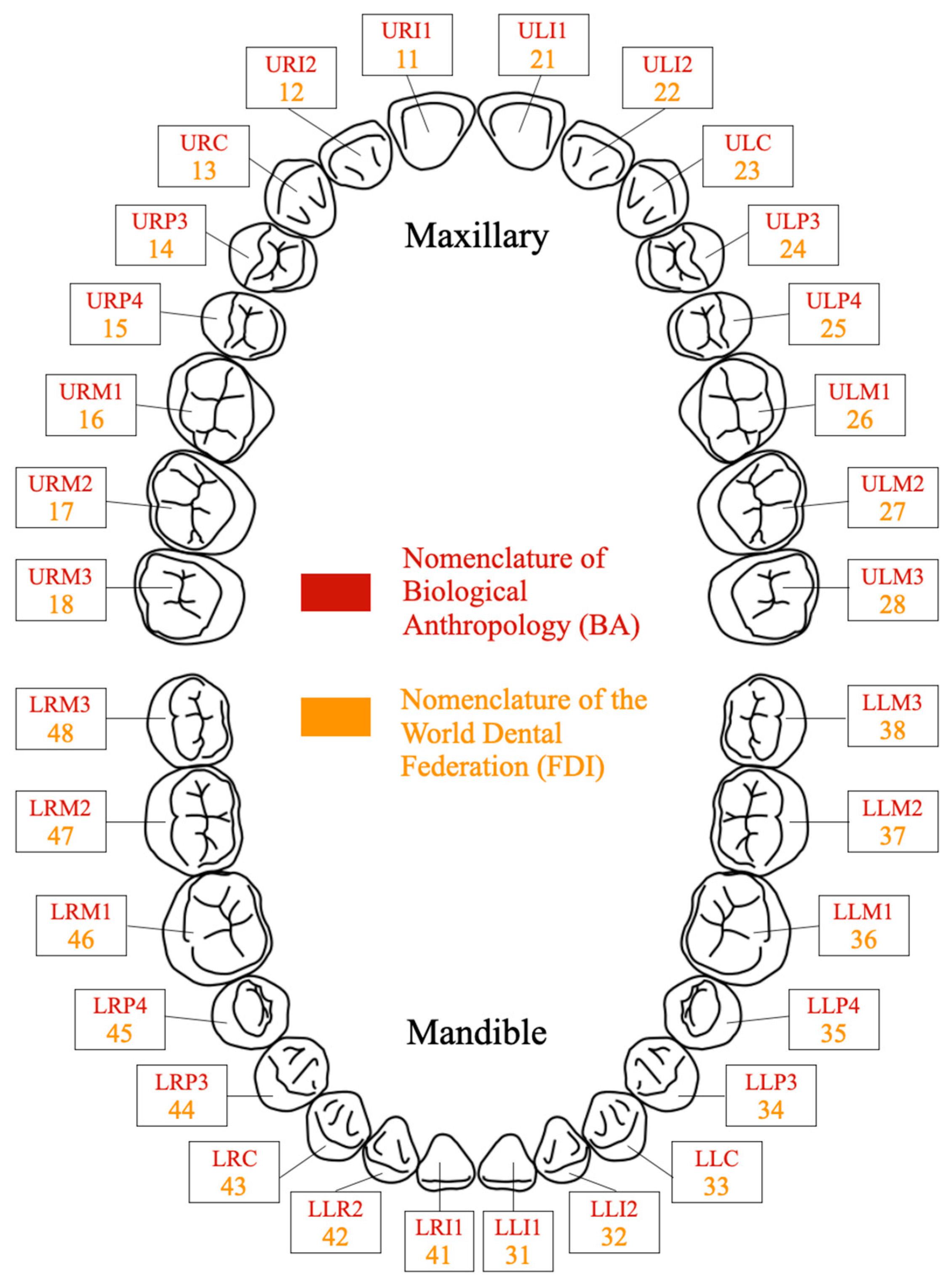 Biology 13 00043 g001
