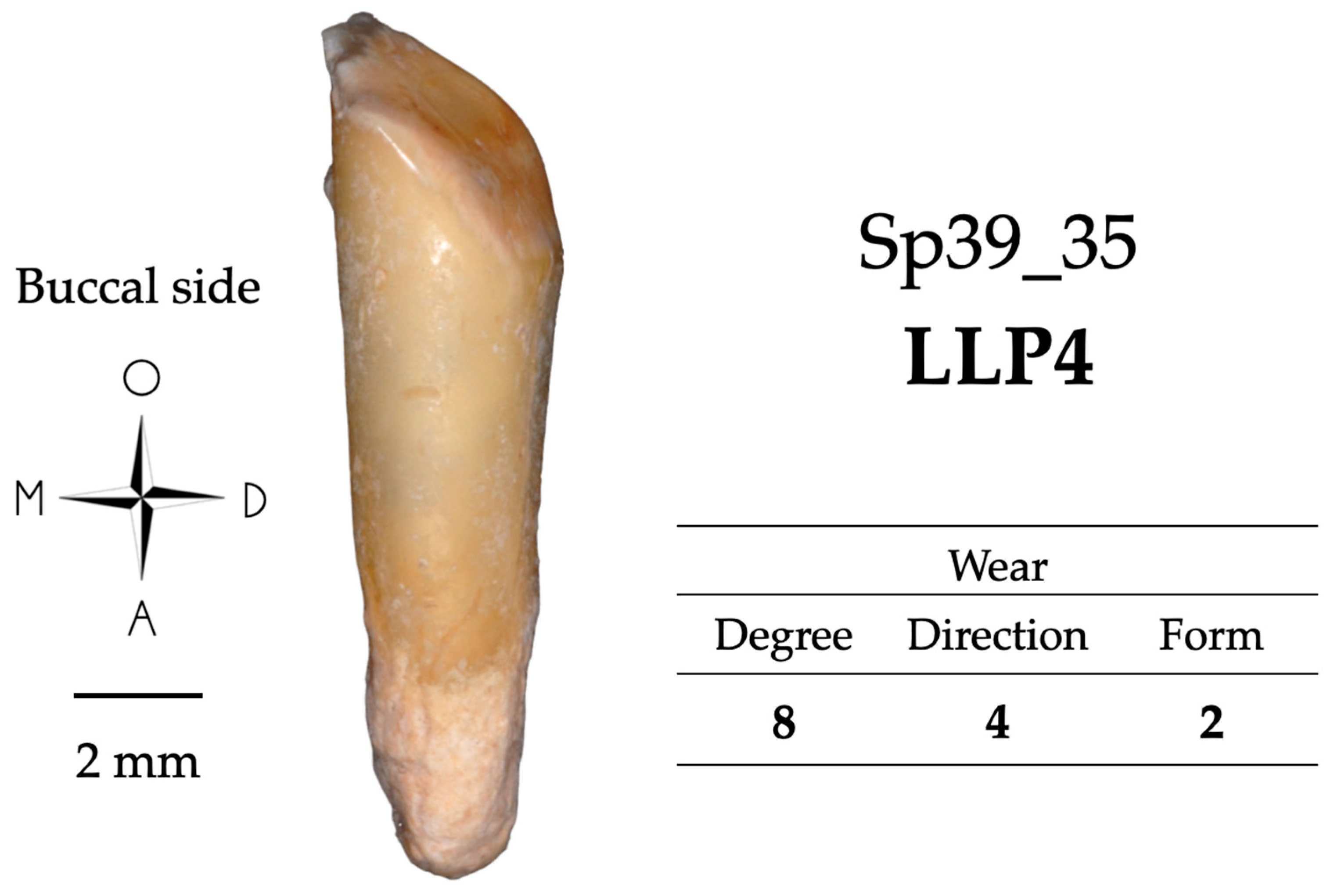 Biology 13 00043 g002