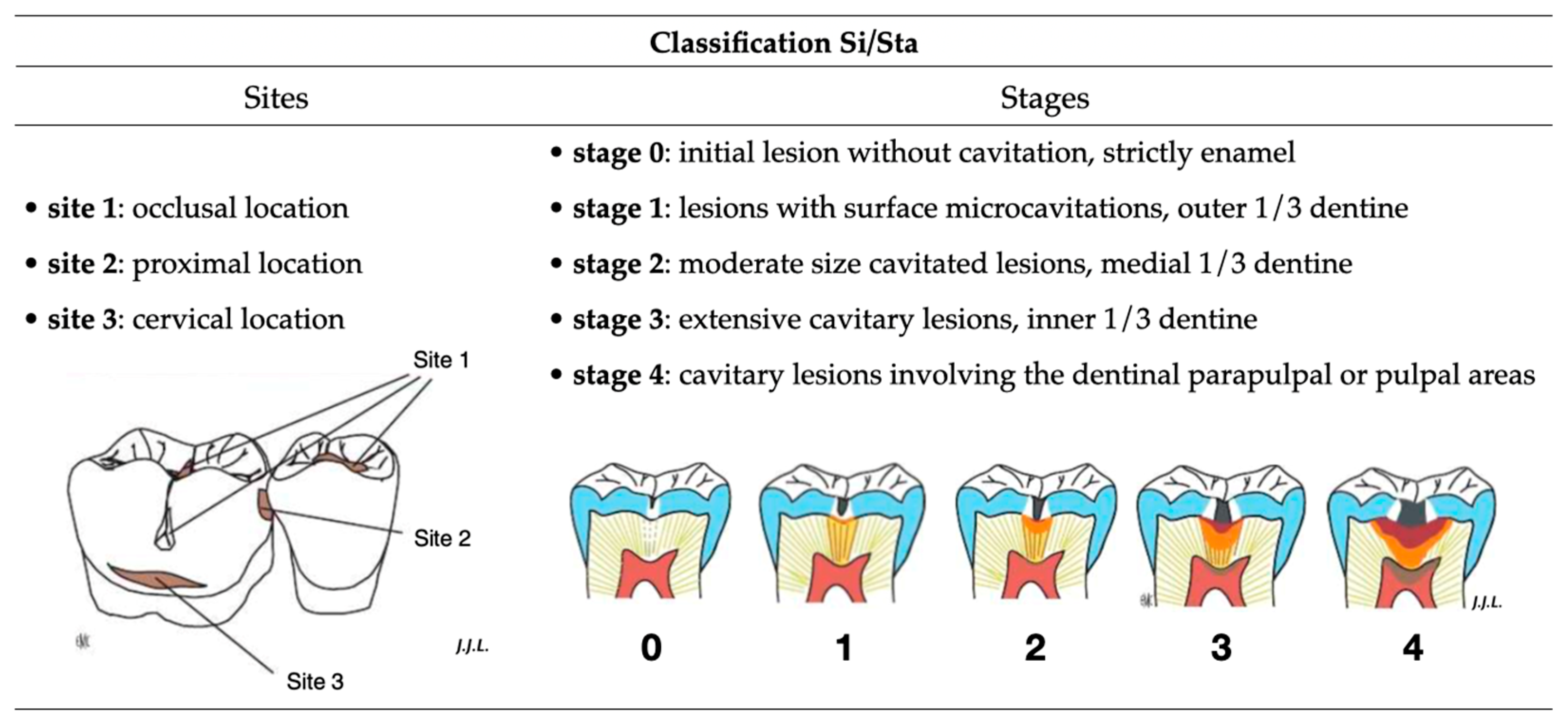Biology 13 00043 g003