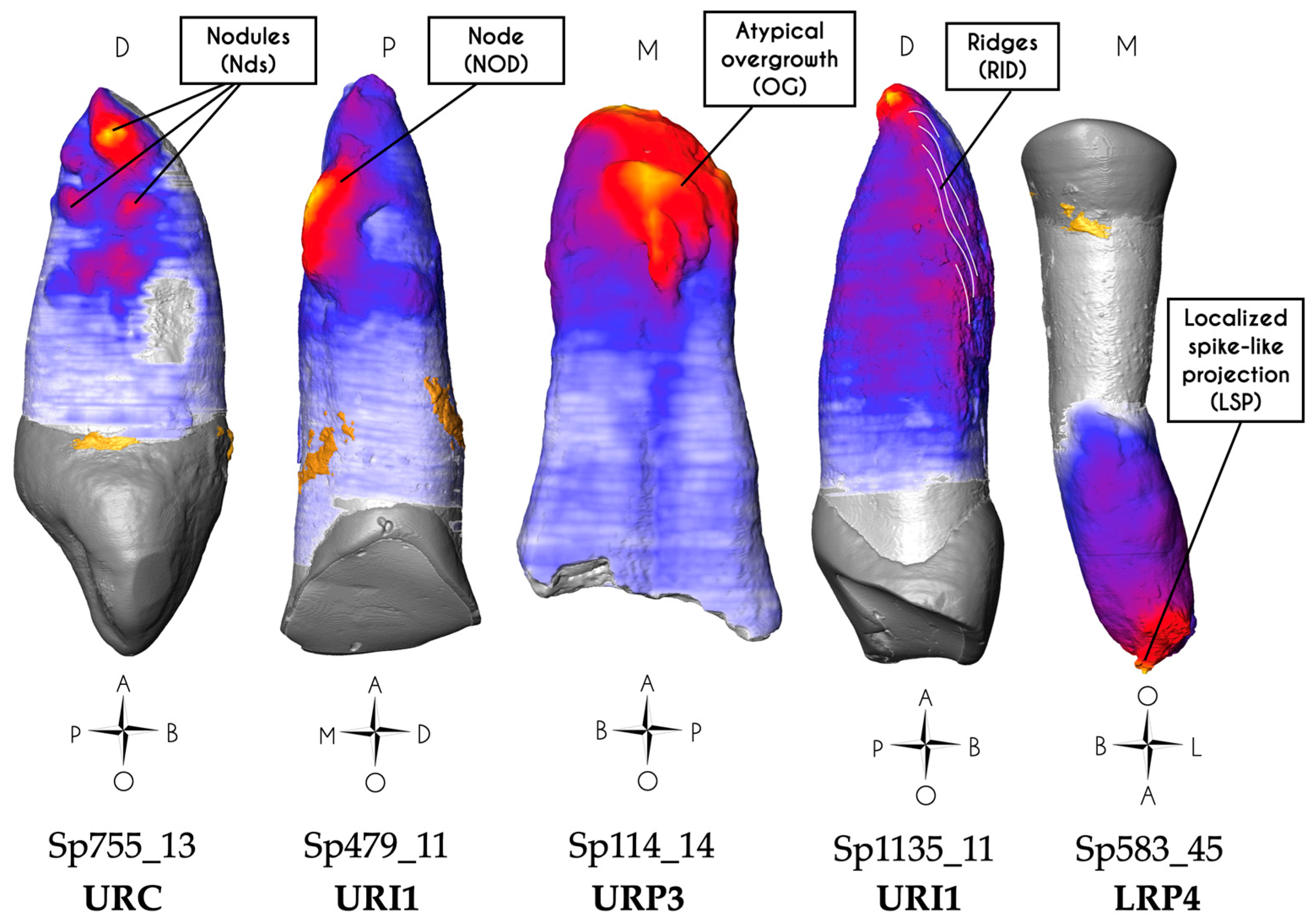 Biology 13 00043 g005