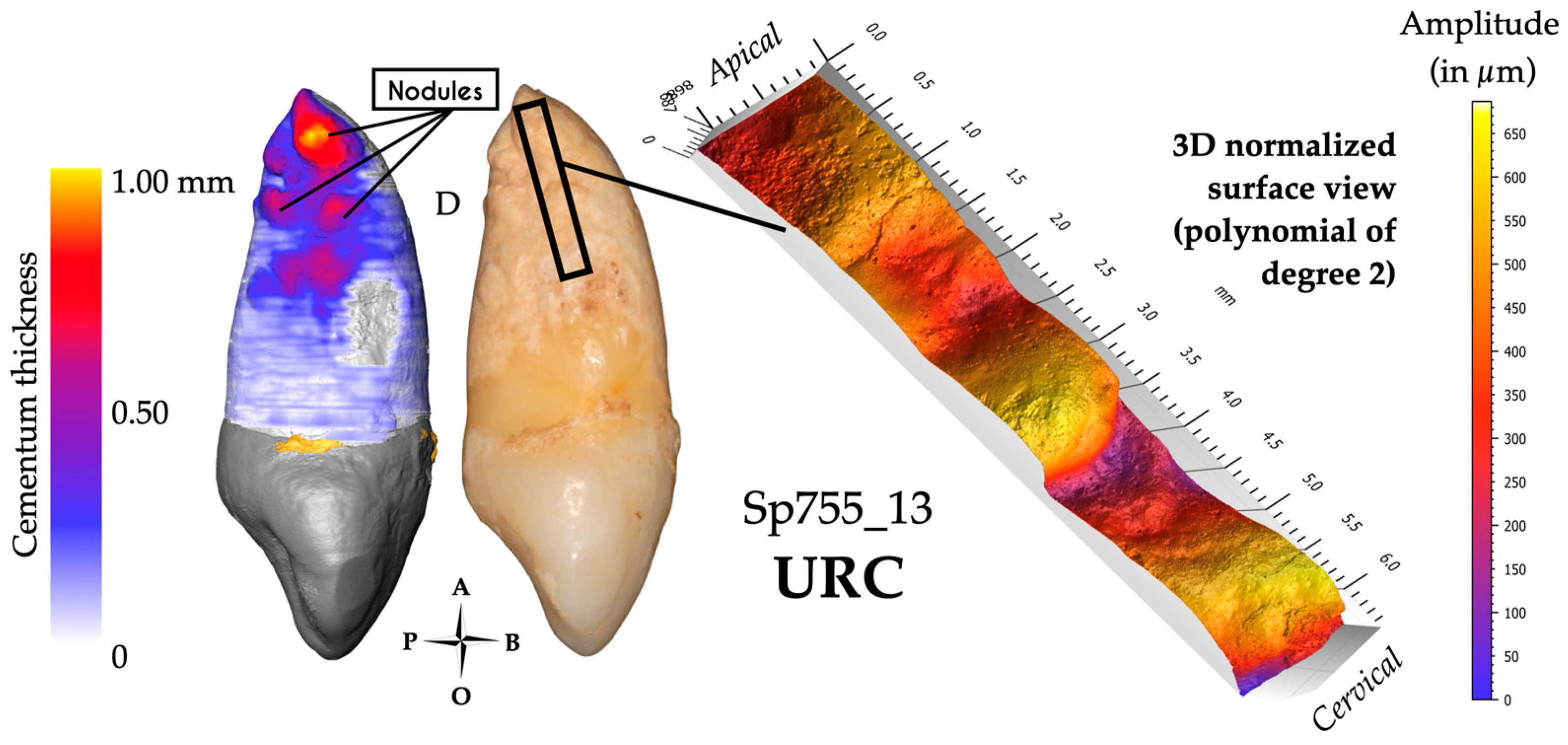 Biology 13 00043 g008
