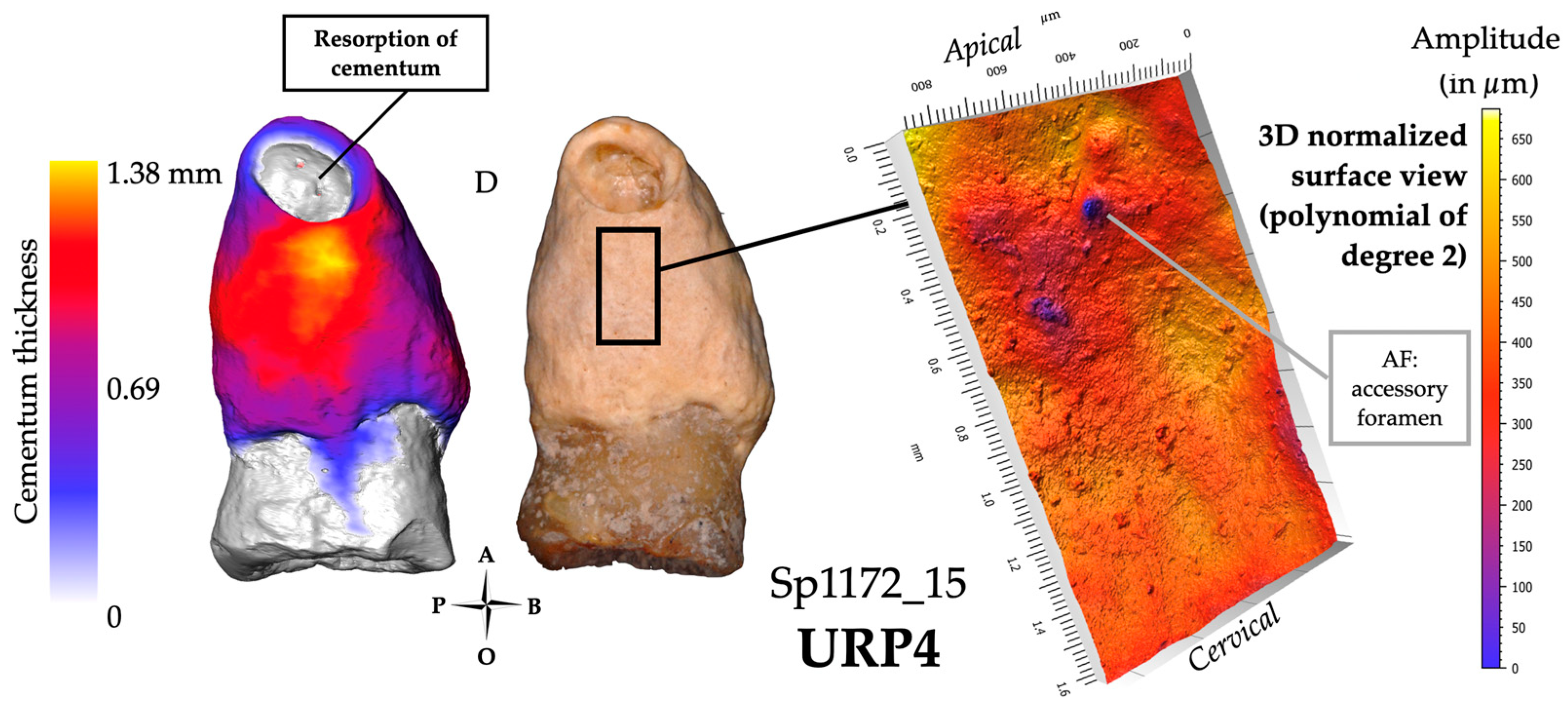 Biology 13 00043 g009