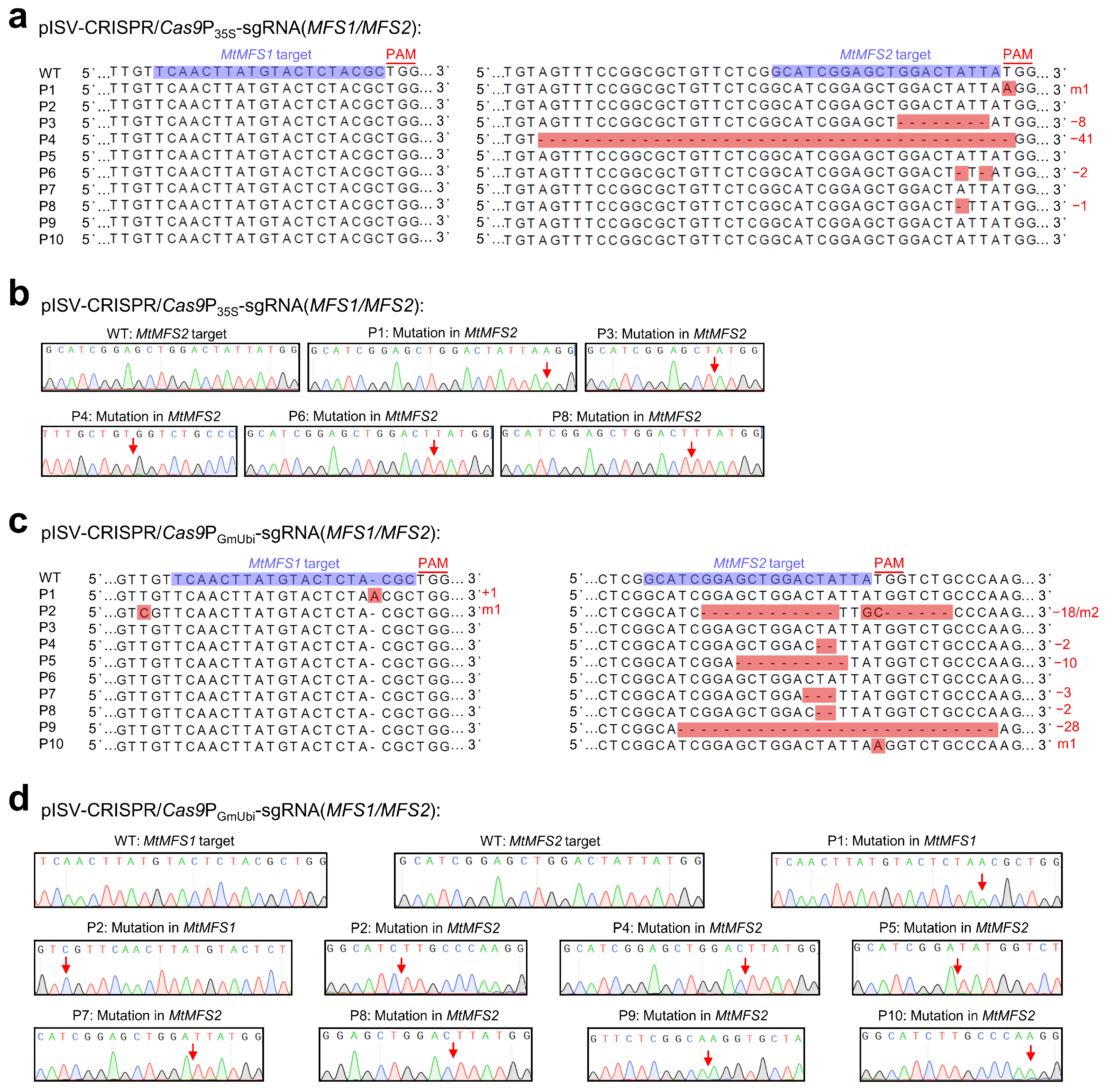 Biology 13 00053 g005