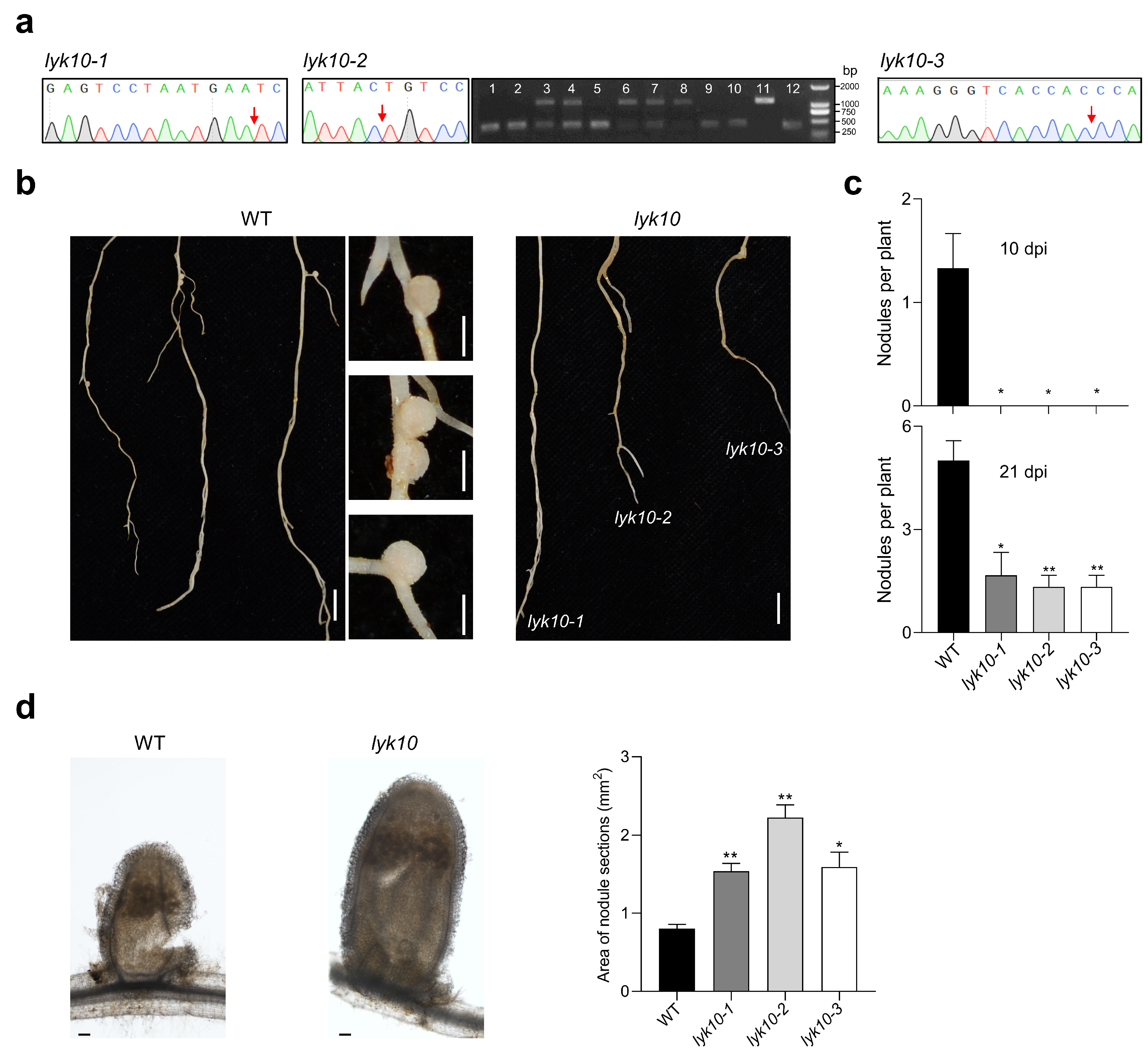 Biology 13 00053 g006