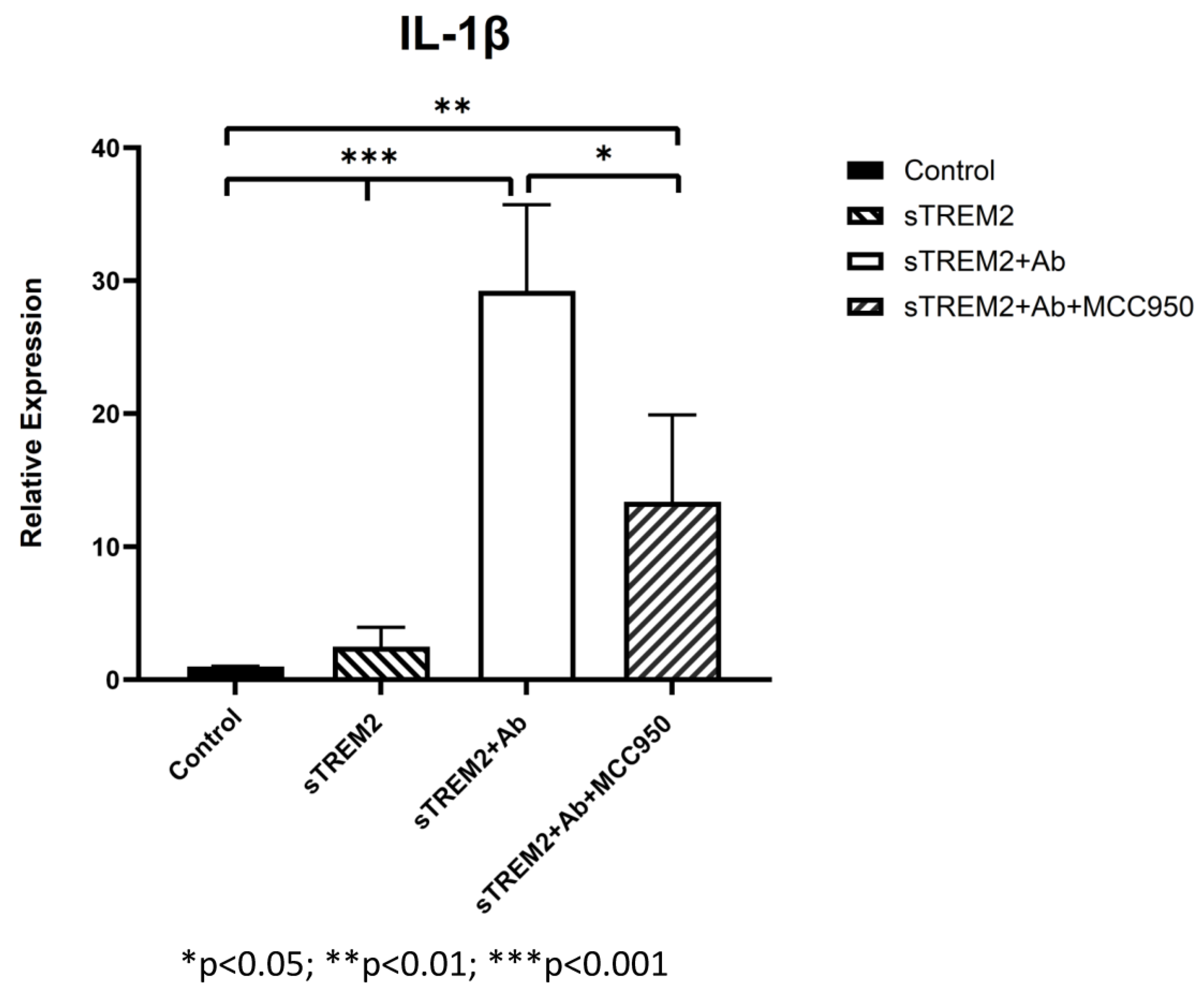 Biology 13 00087 g004