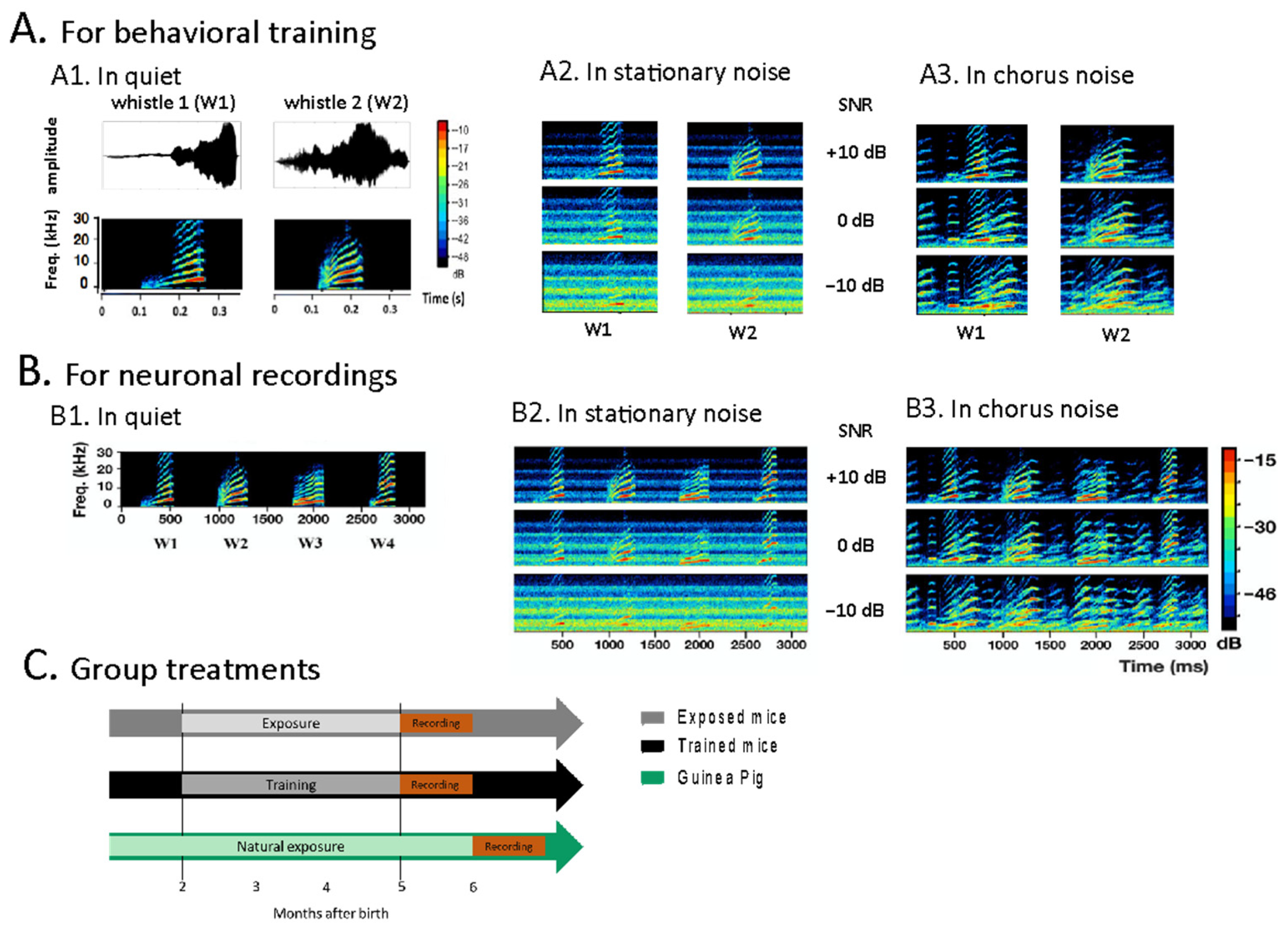 Biology 13 00092 g001