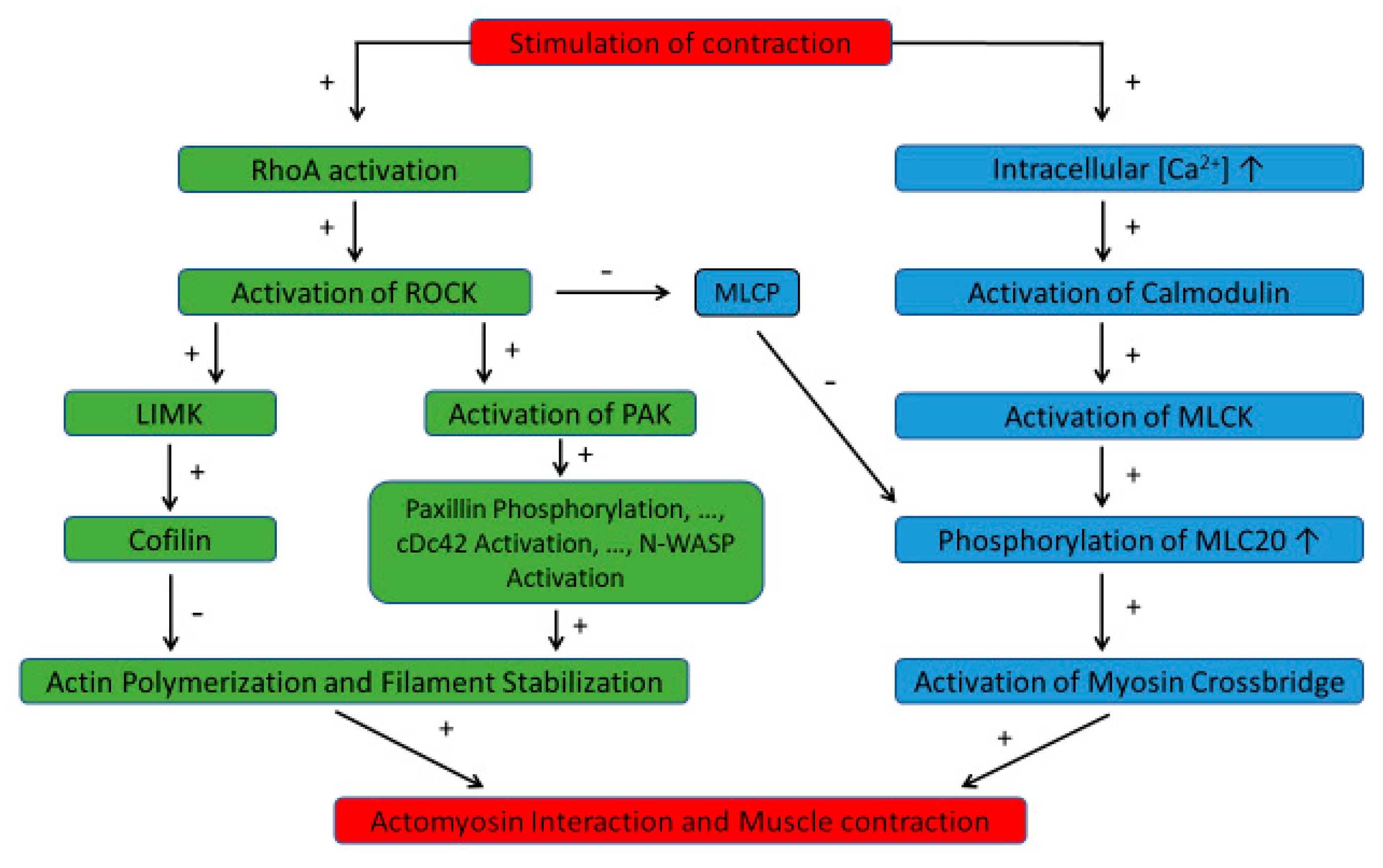 Biology 13 00115 g001 Biology 13 00115 g001