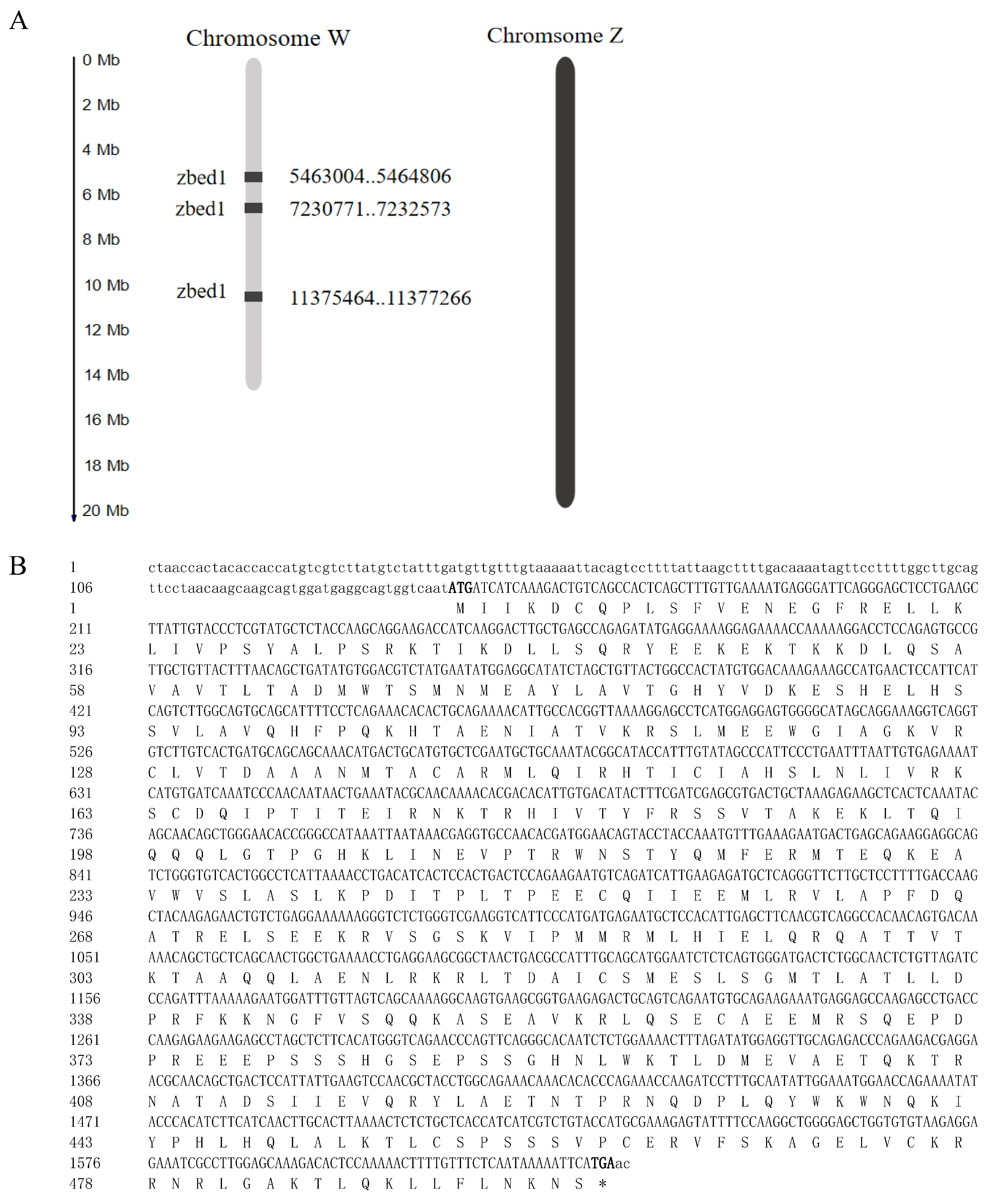 Biology 13 00141 g001