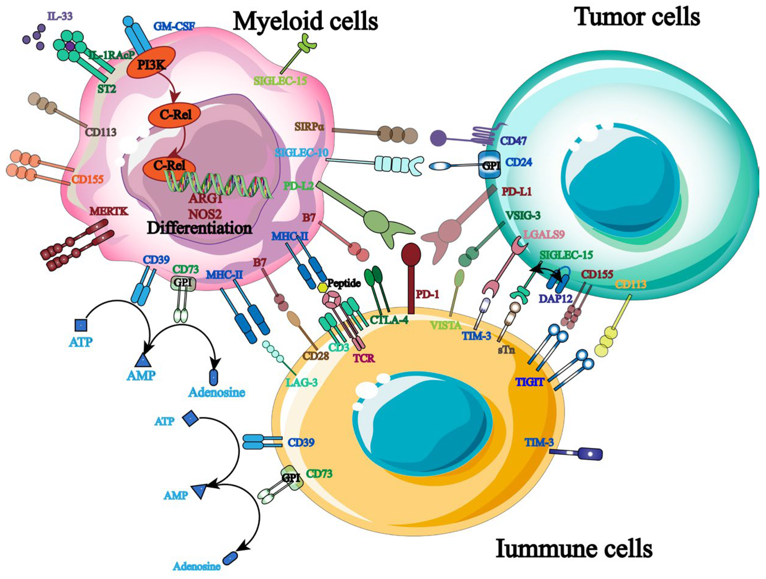 Biology 13 00153 g003