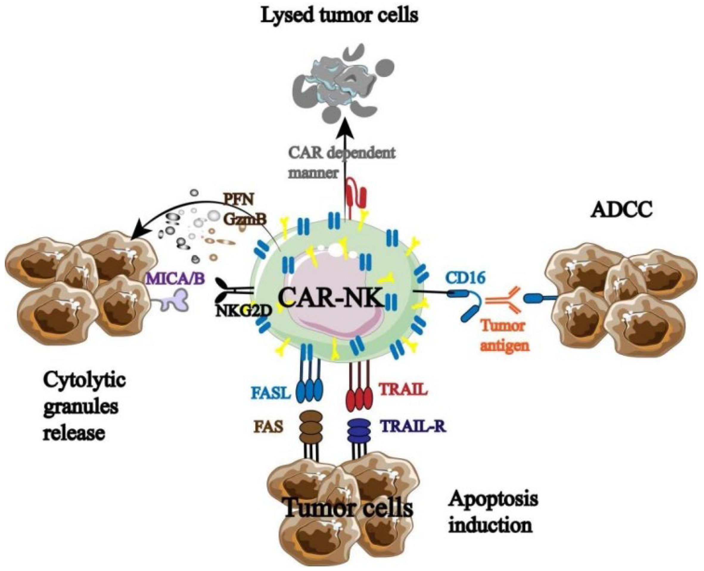 Biology 13 00153 g005