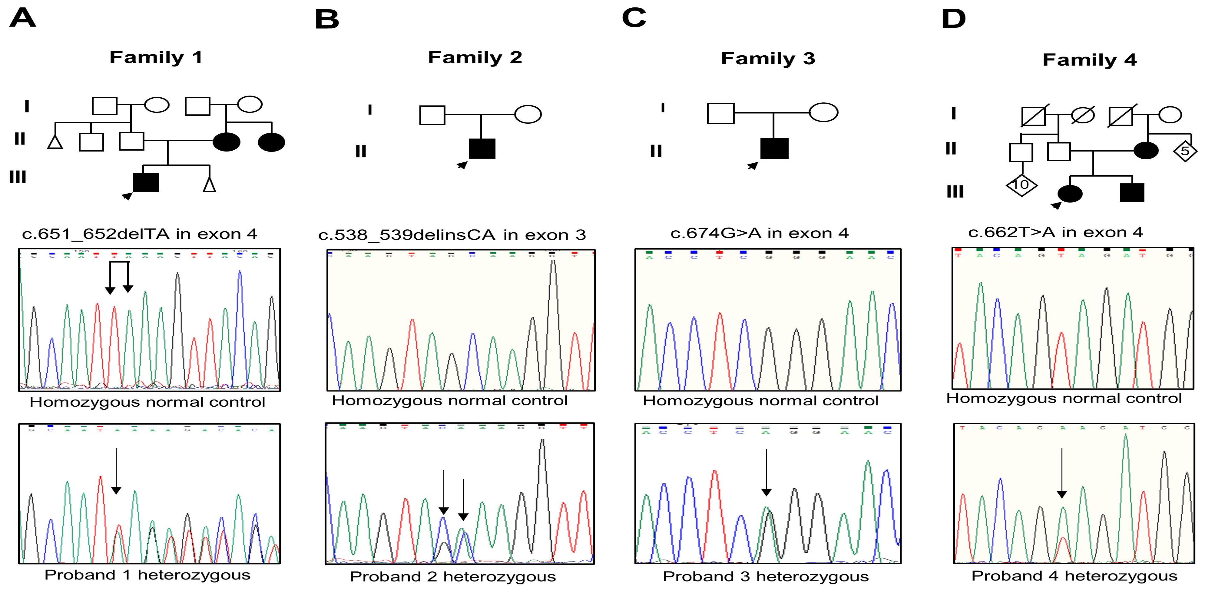 Biology 13 00173 g002
