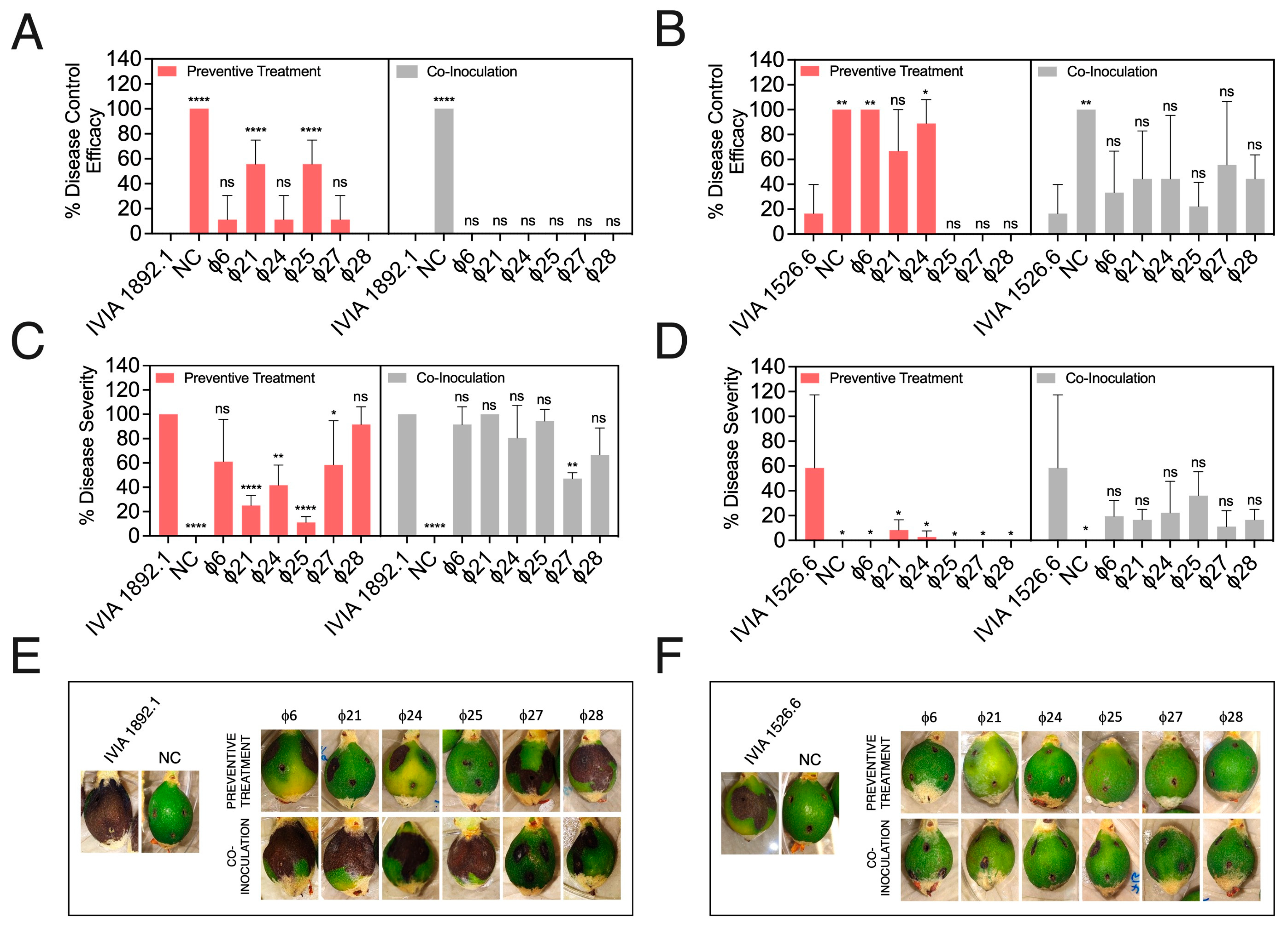 Biology 13 00176 g003