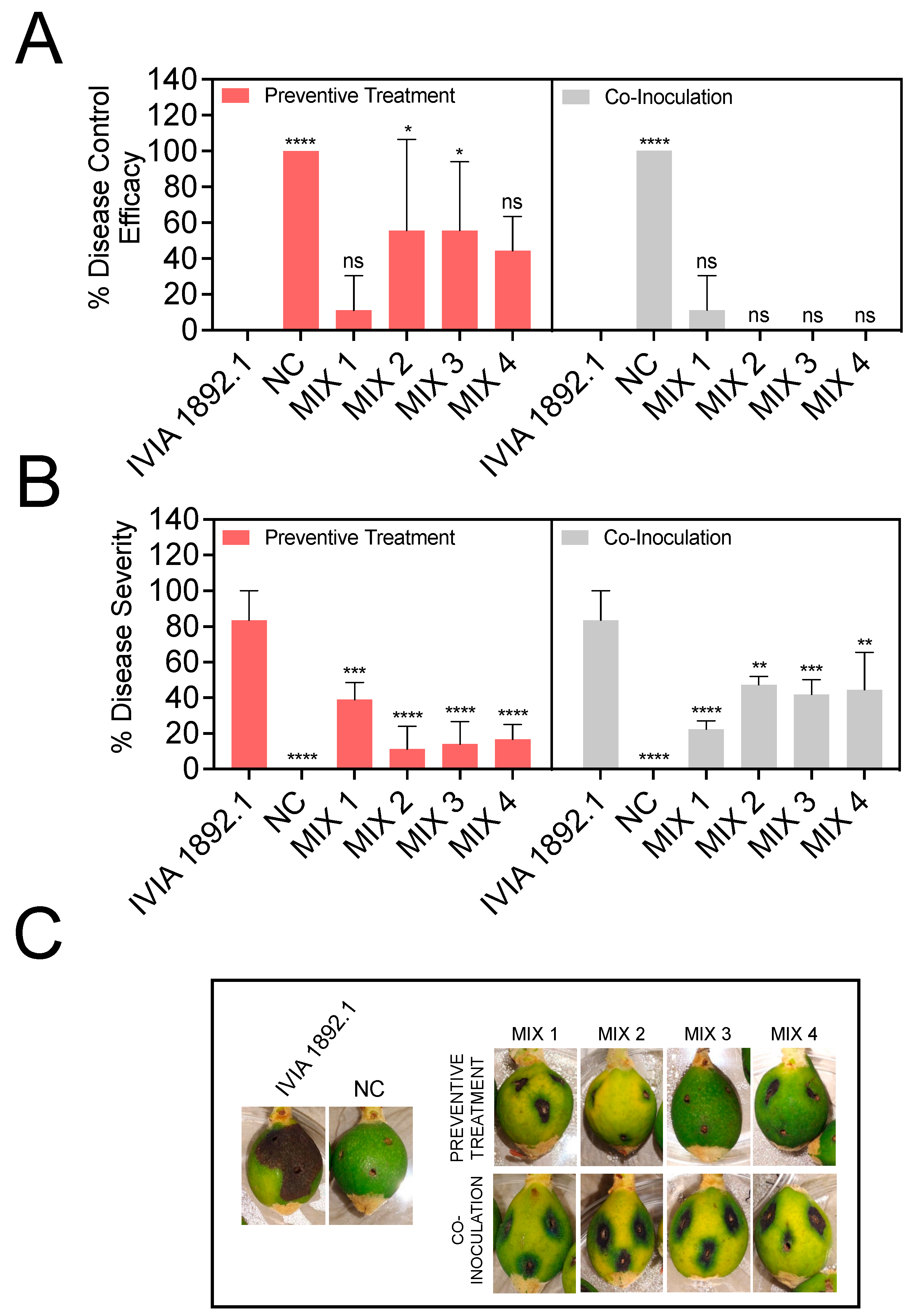 Biology 13 00176 g004