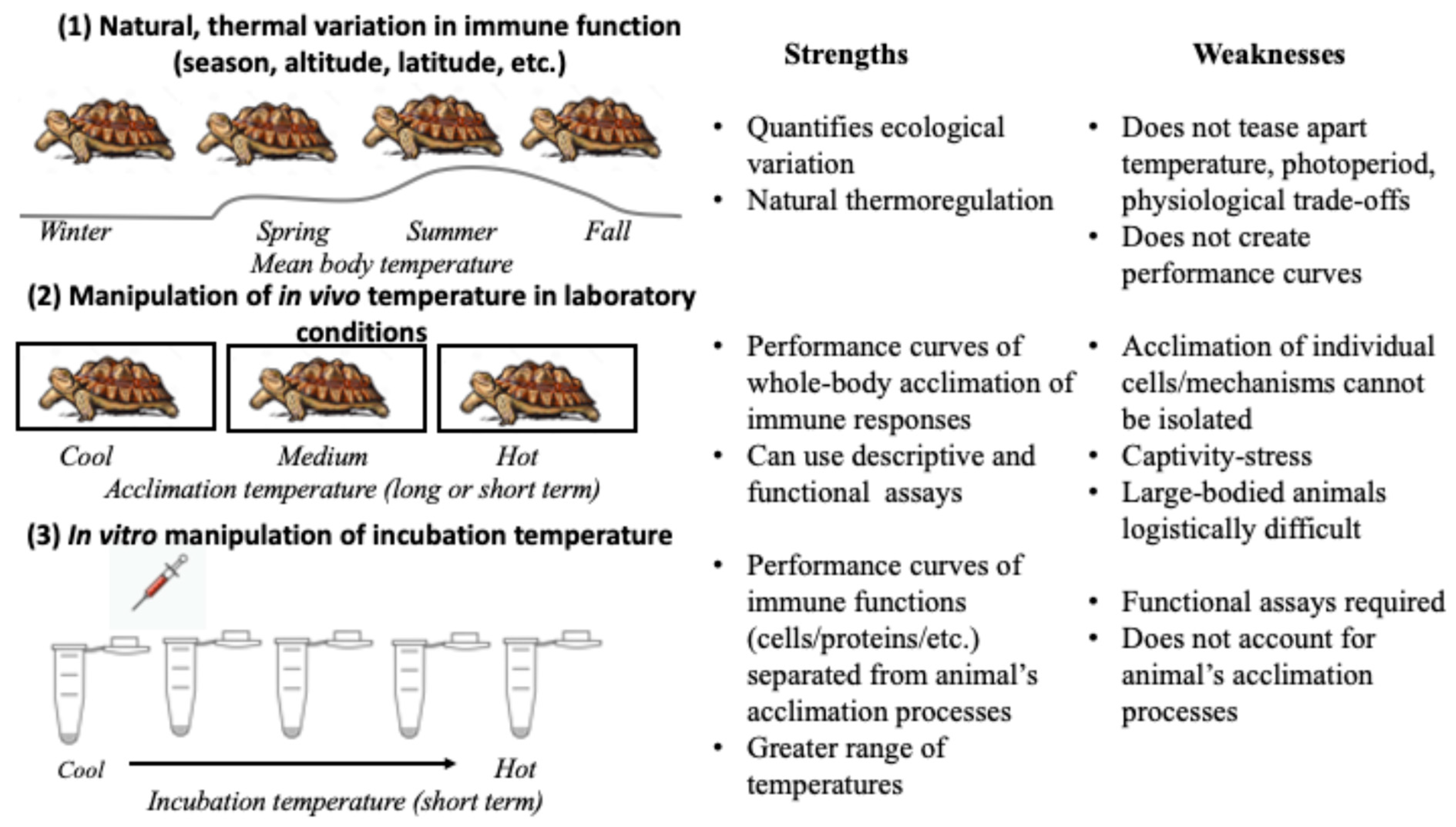 Biology | Free Full-Text | Quantification of Thermal Acclimation in