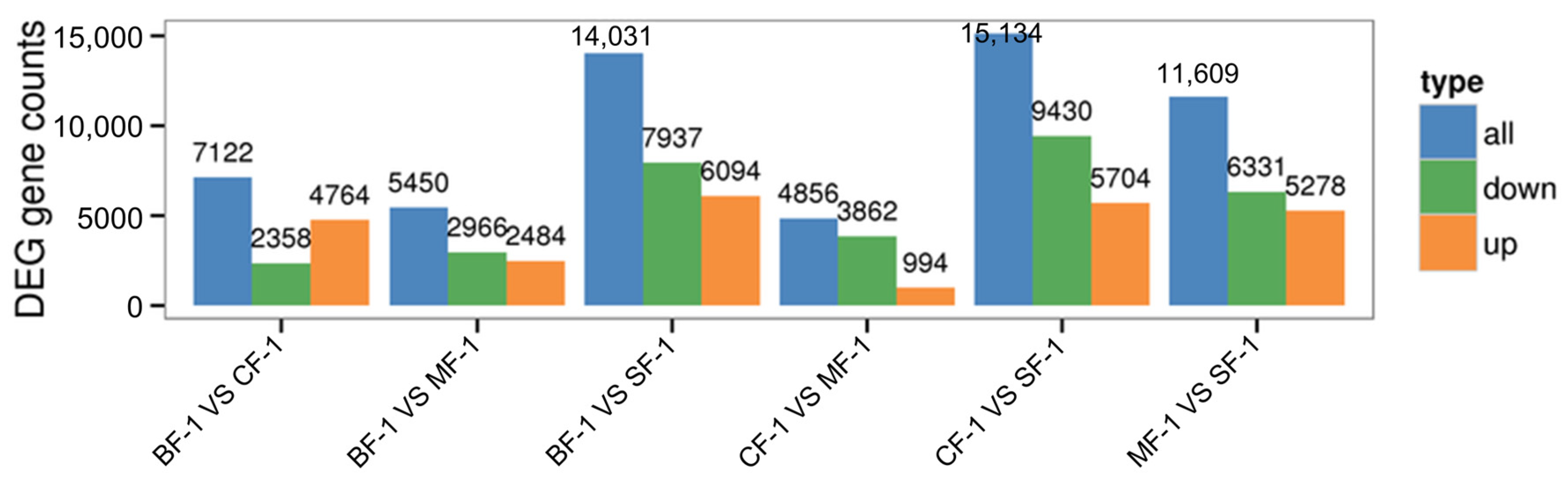 Biology 13 00197 g002