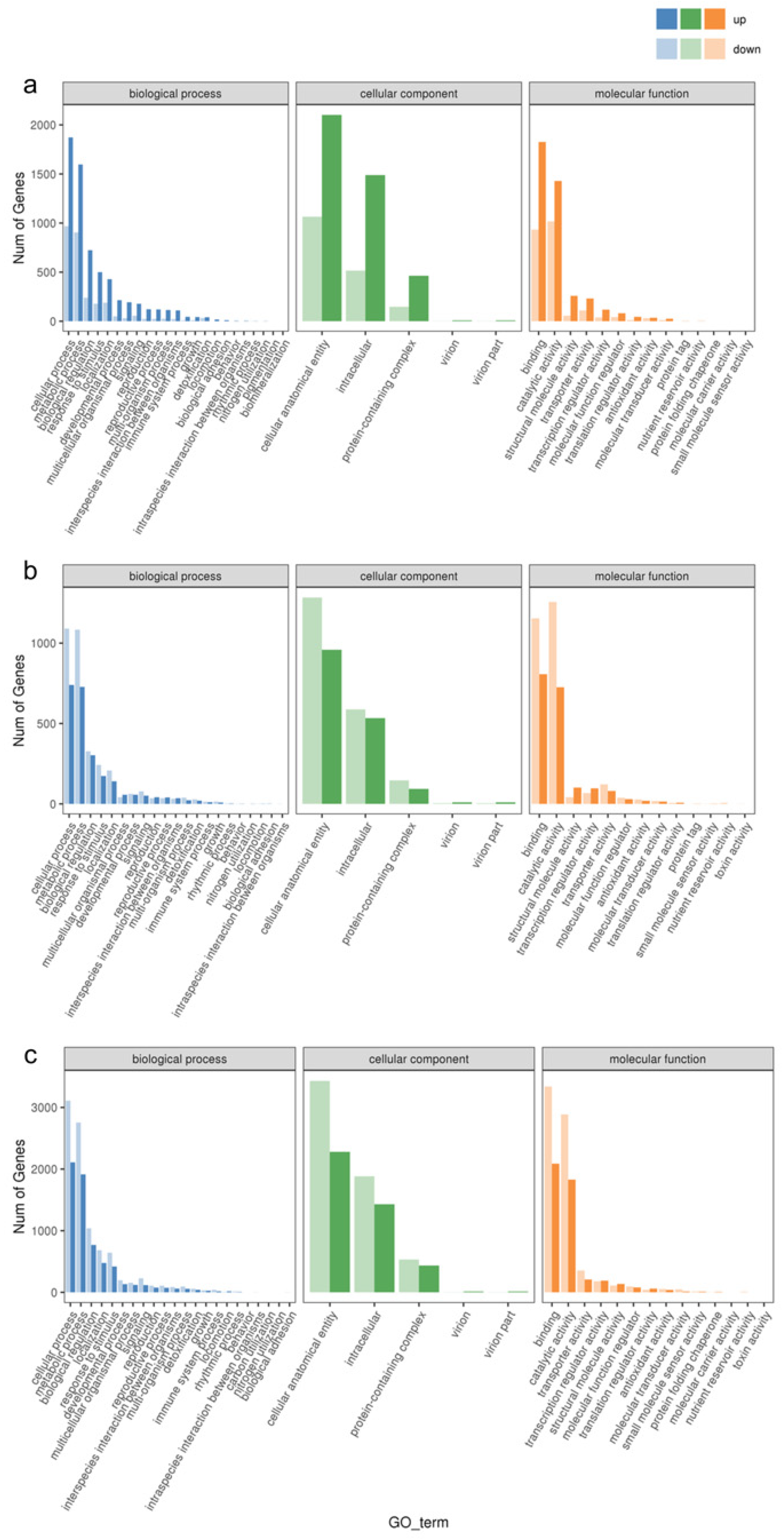 Biology 13 00197 g003