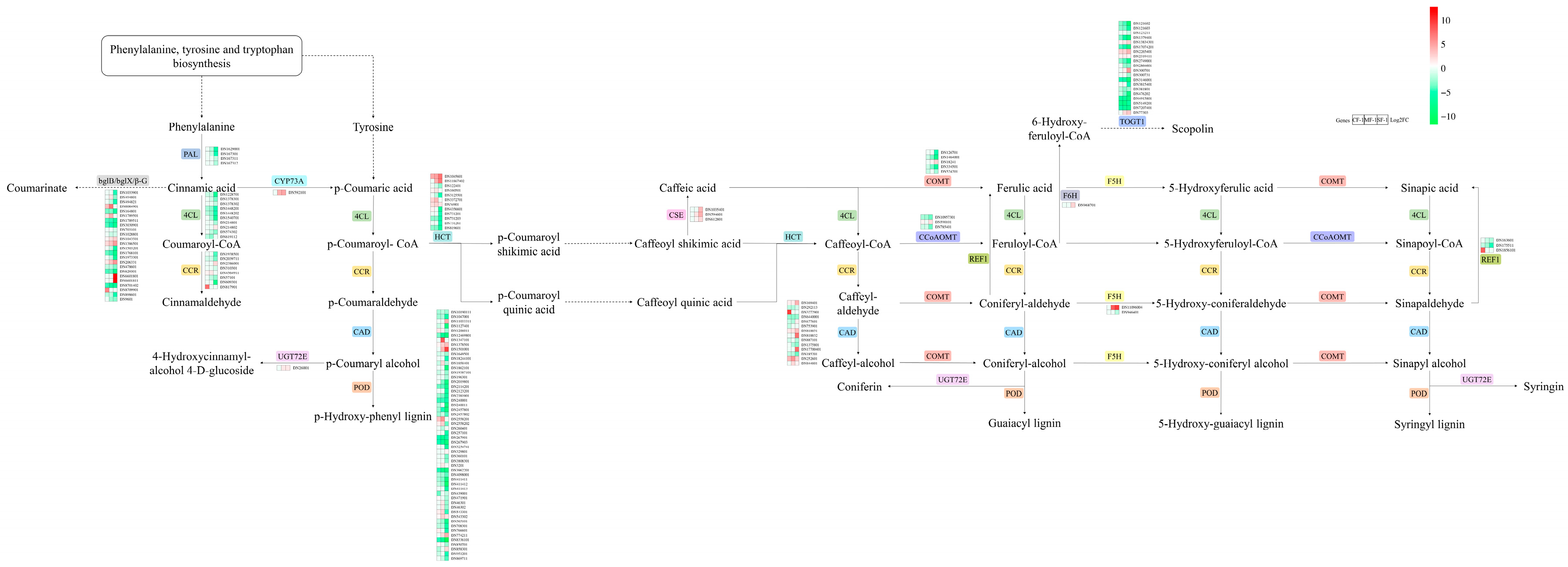 Biology 13 00197 g008