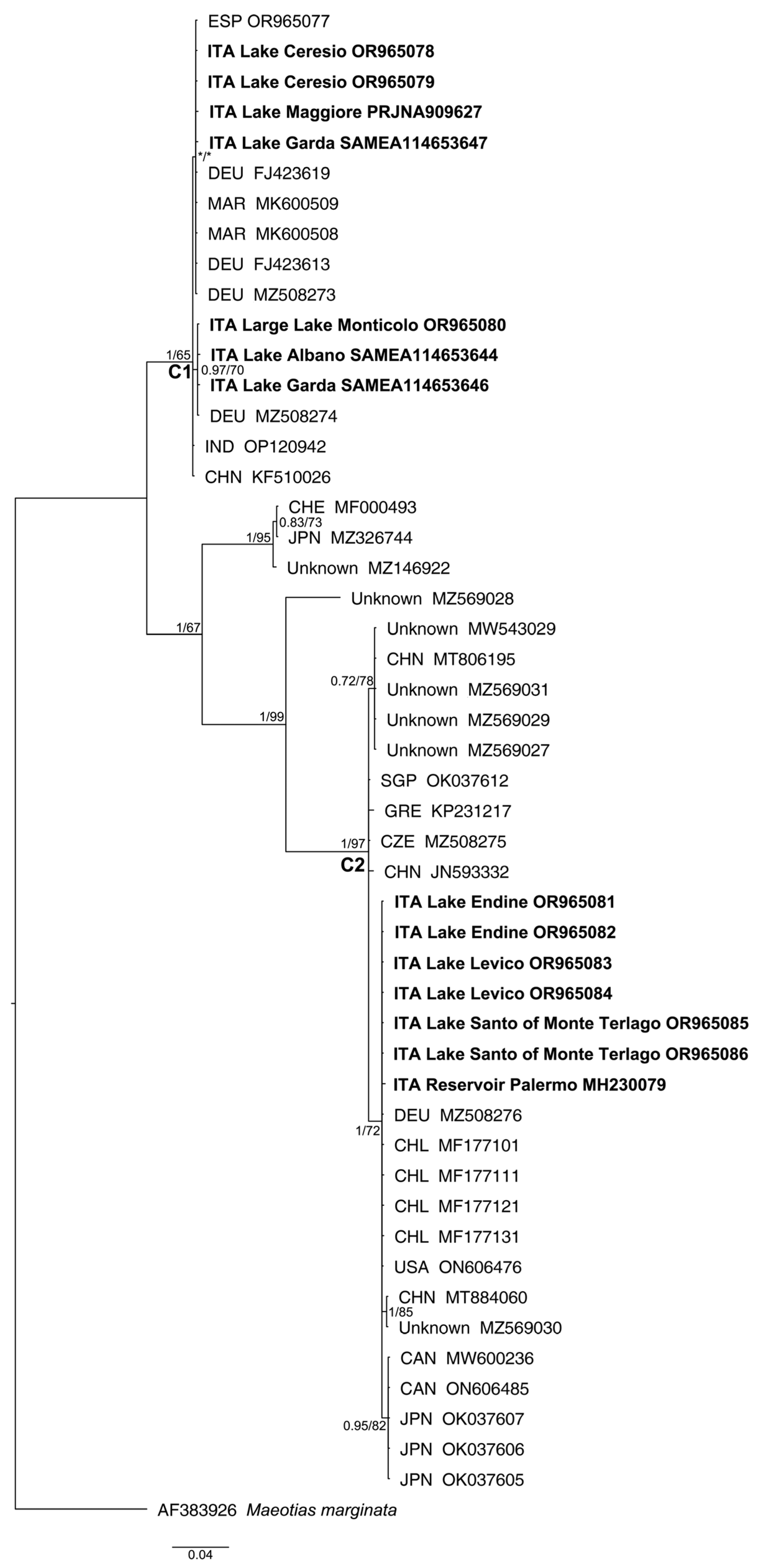 Biology | Free Full-Text | Distribution and Genetic Lineages of the