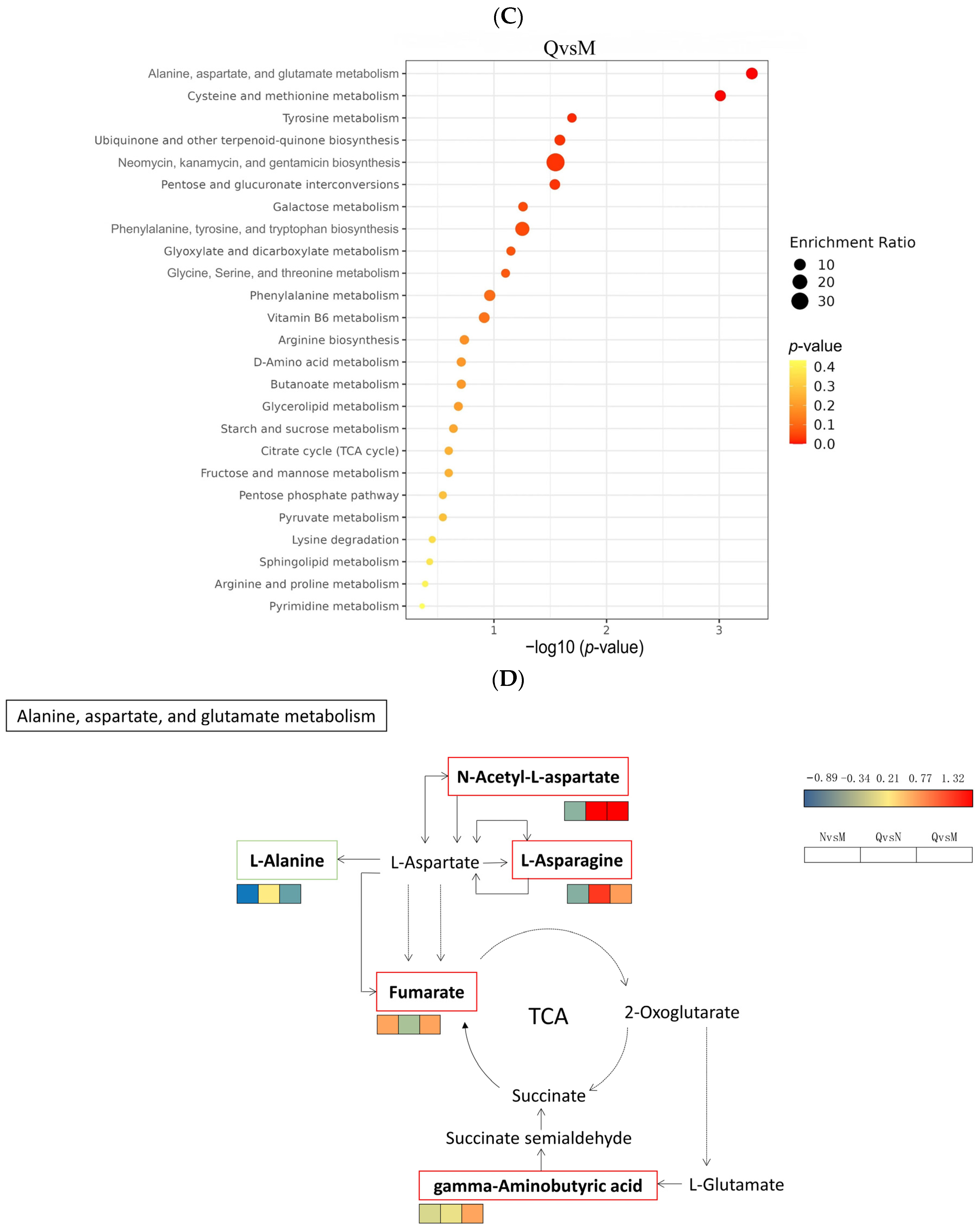 Biology 13 00211 g007b