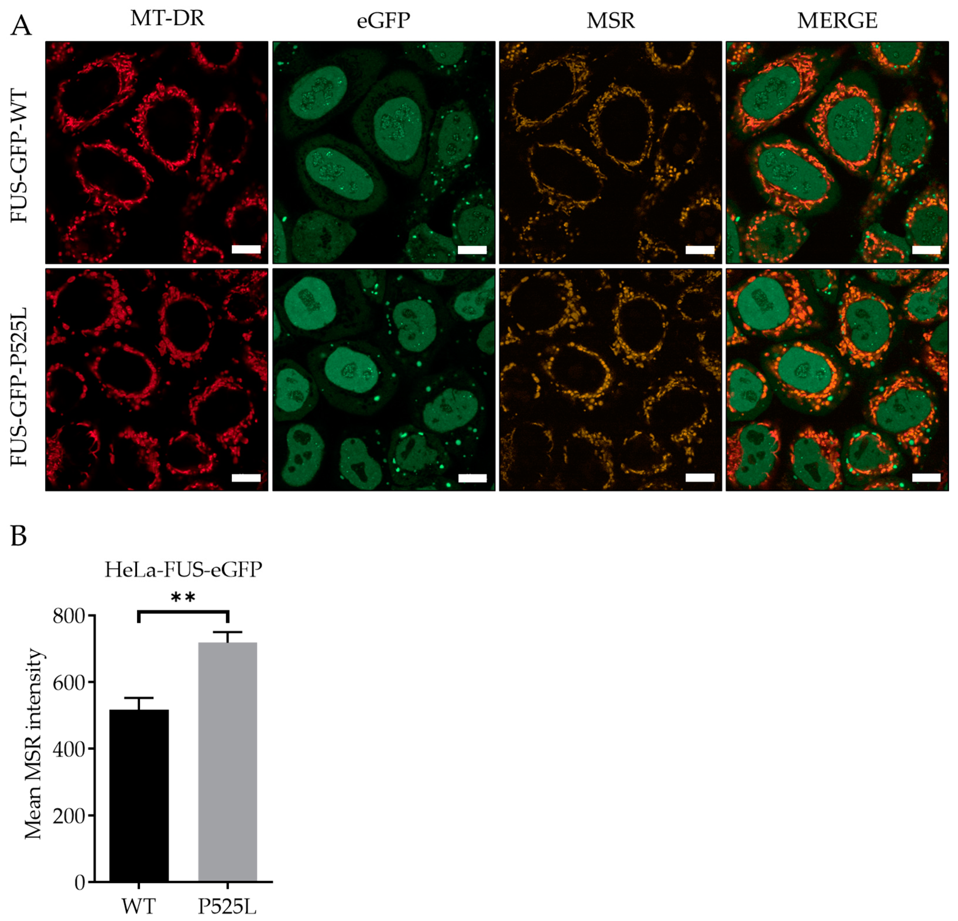 Biology 13 00215 g002 Biology 13 00215 g002
