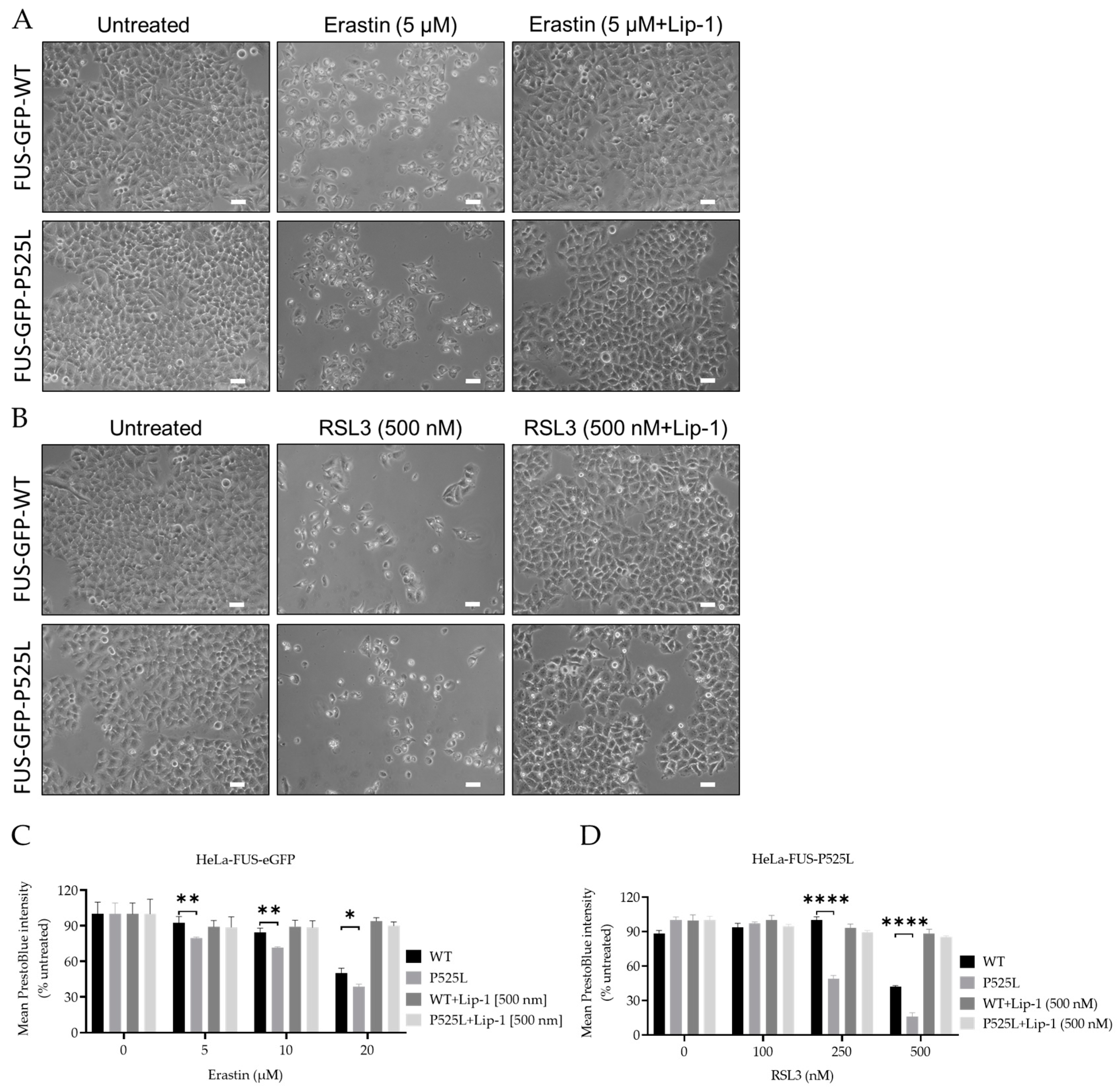Biology 13 00215 g003 Biology 13 00215 g003