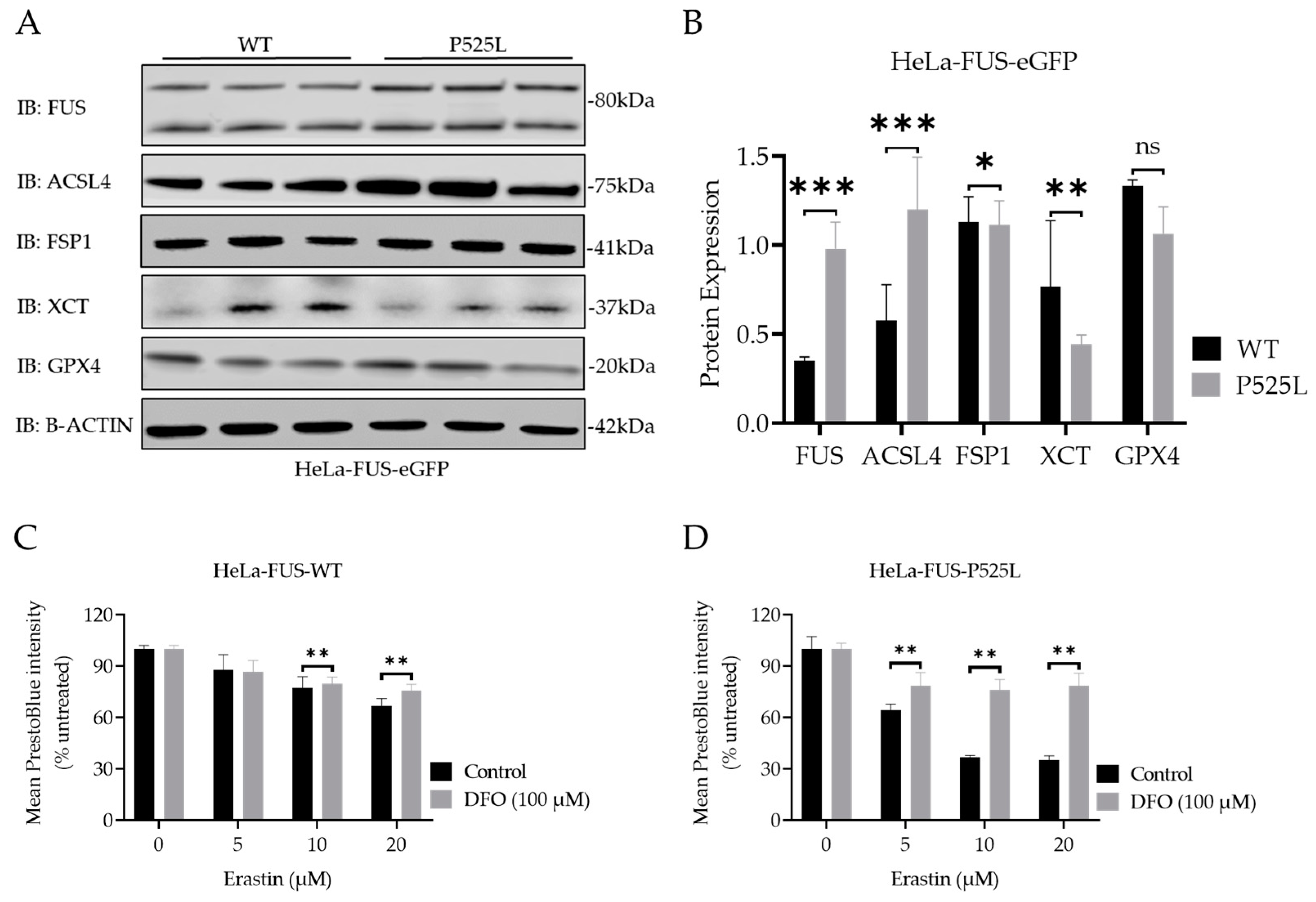 Biology 13 00215 g004 Biology 13 00215 g004