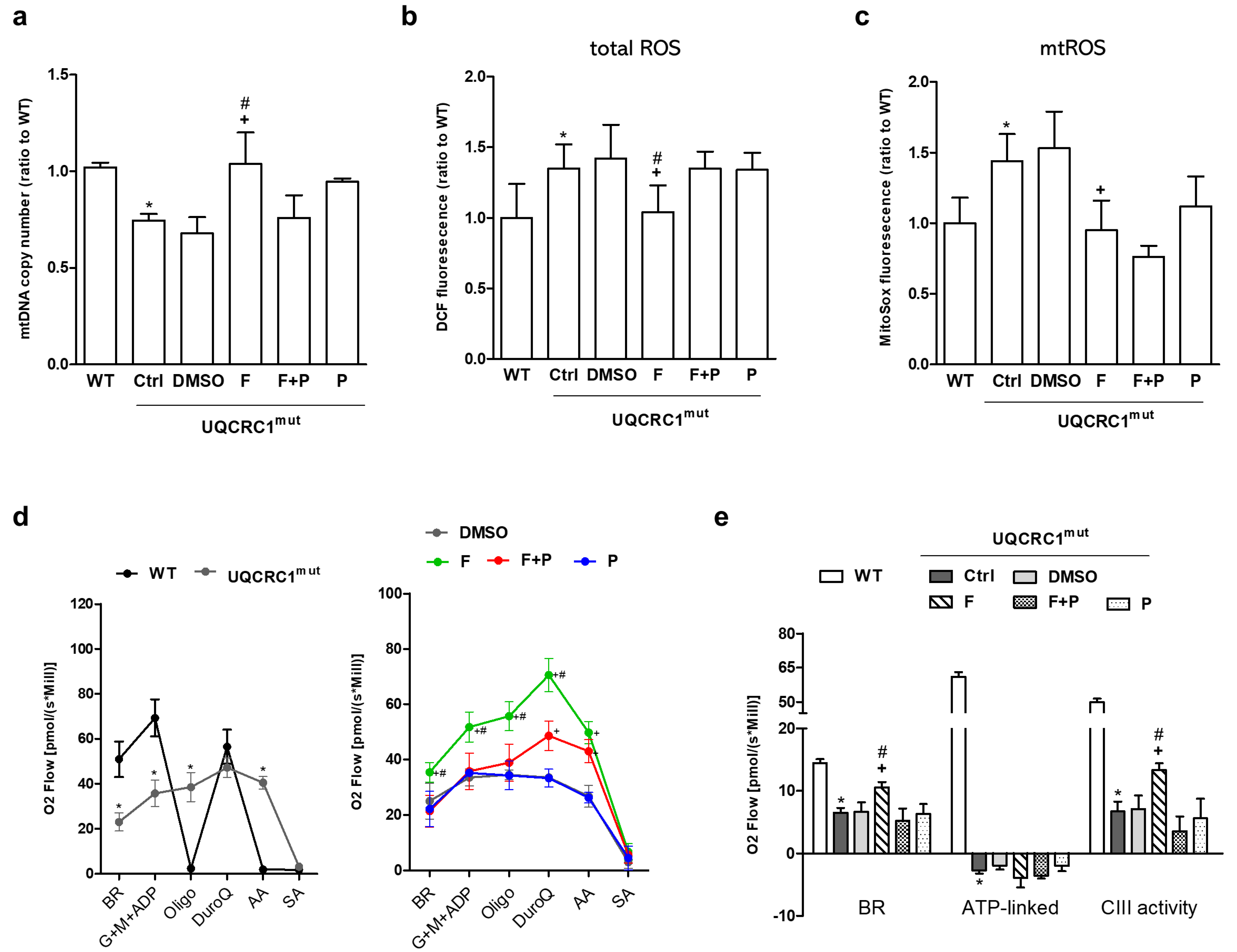 Biology 13 00231 g002