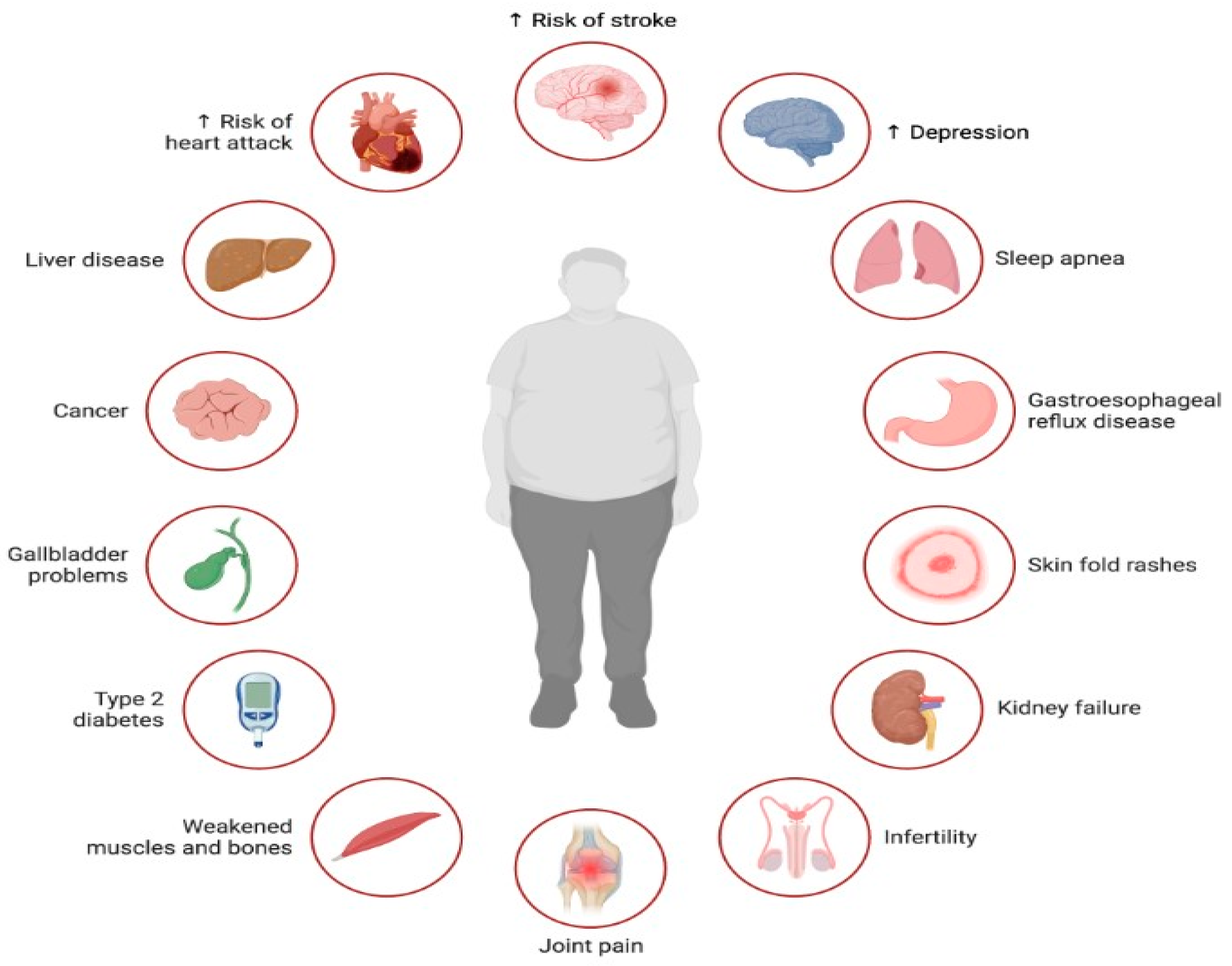 Biology 13 00241 g002