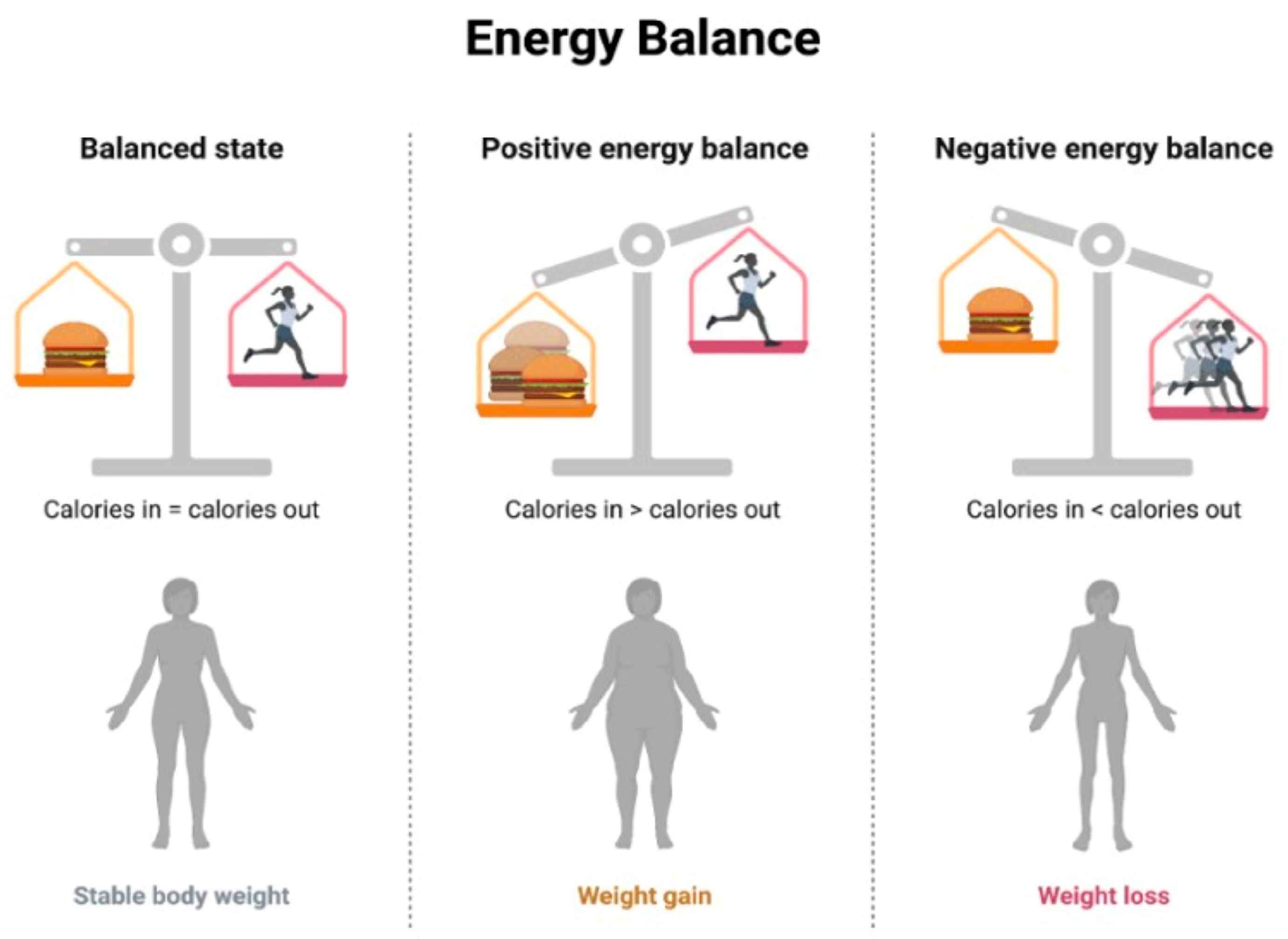 Biology 13 00241 g004