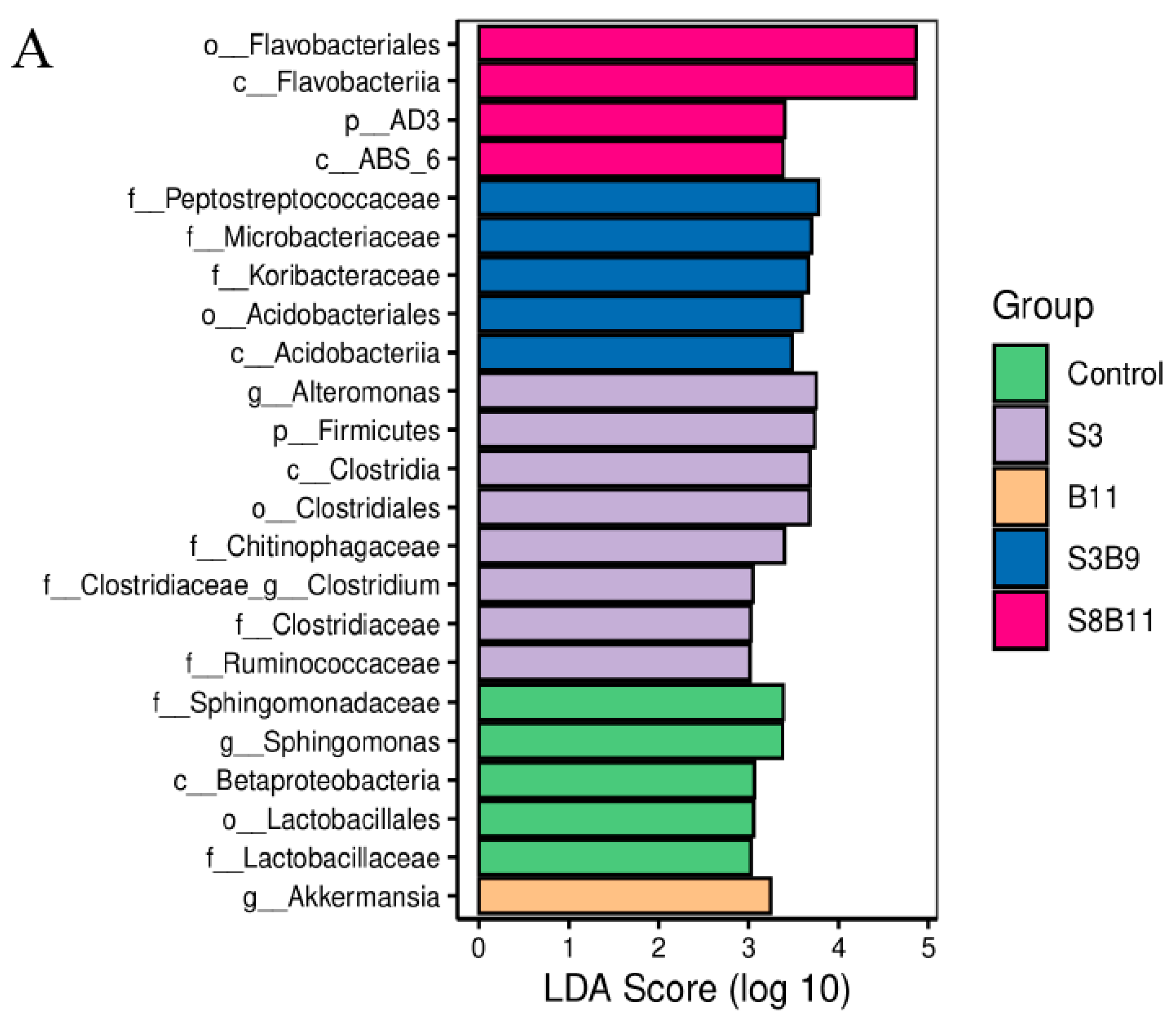 Biology 13 00252 g008a