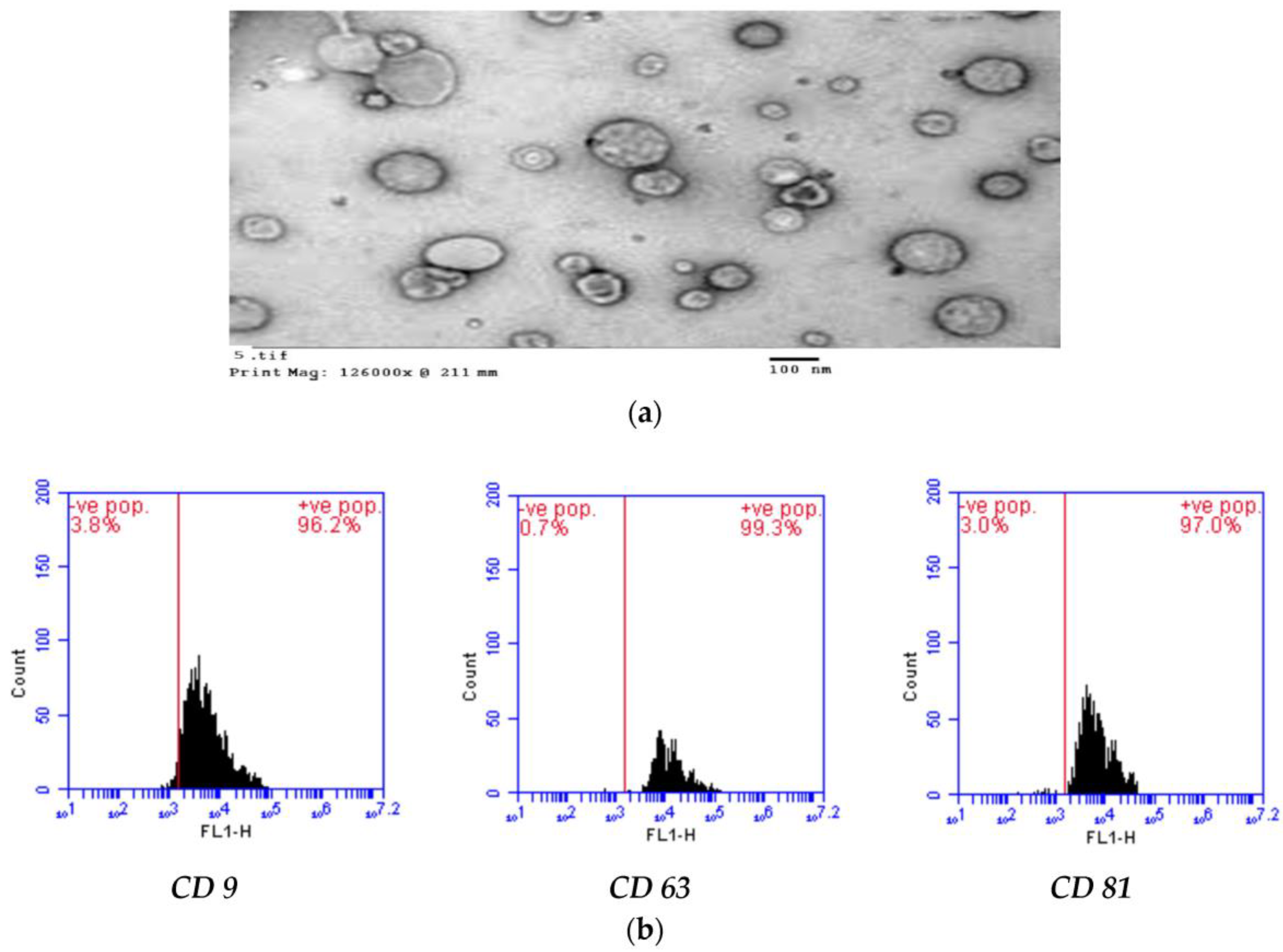 Biology 13 00253 g001