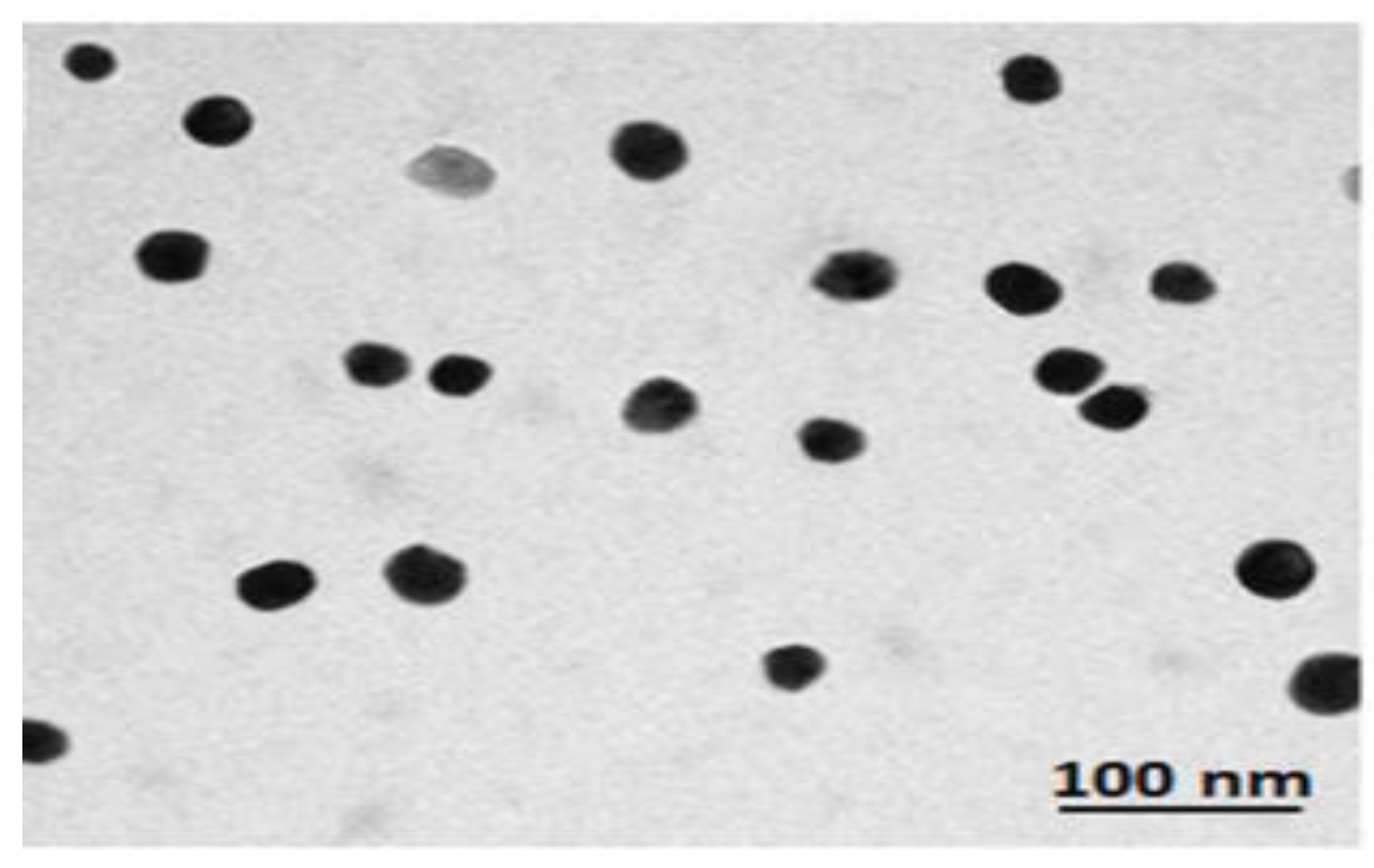 Biology 13 00253 g002