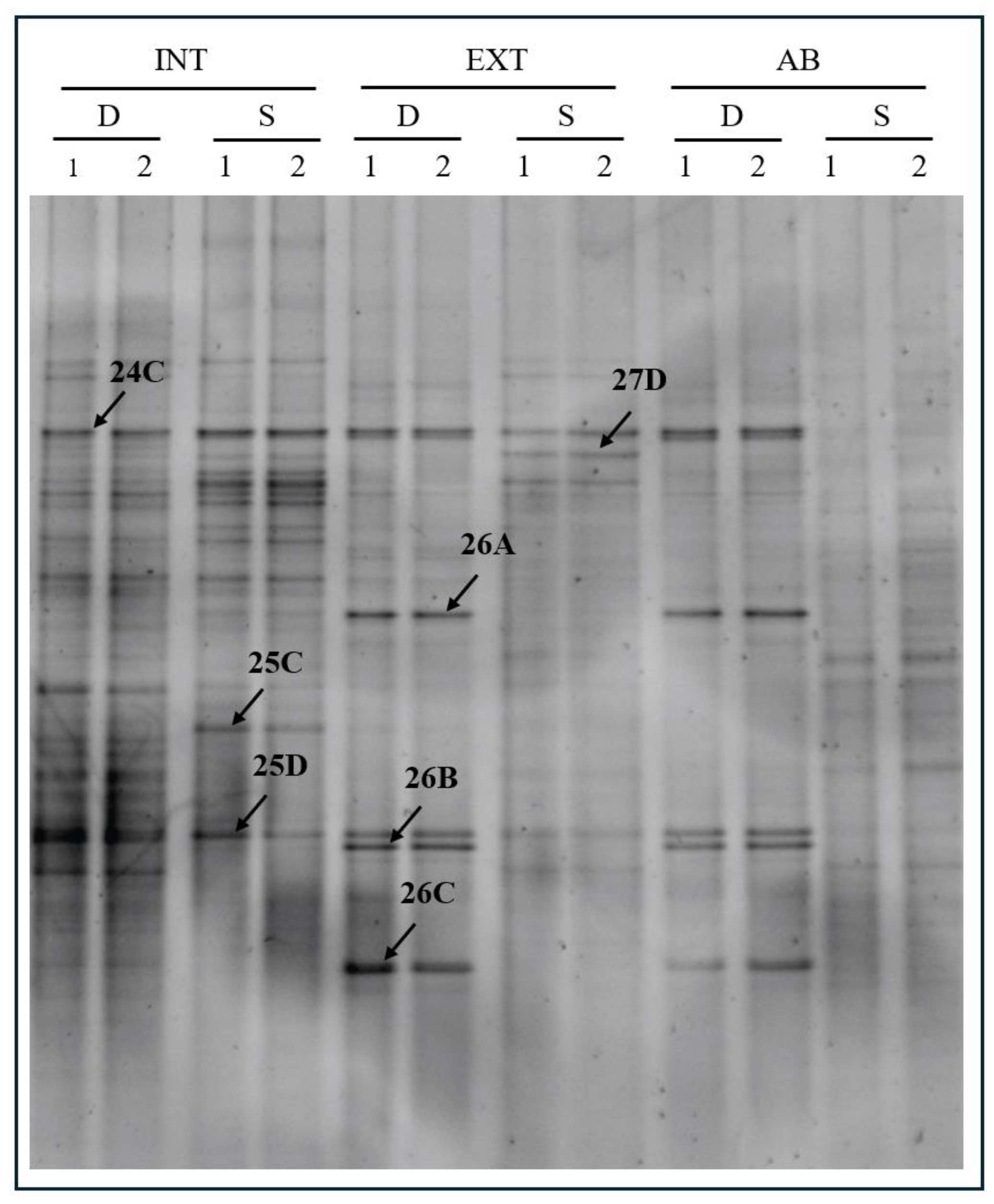 Biology 13 00254 g002