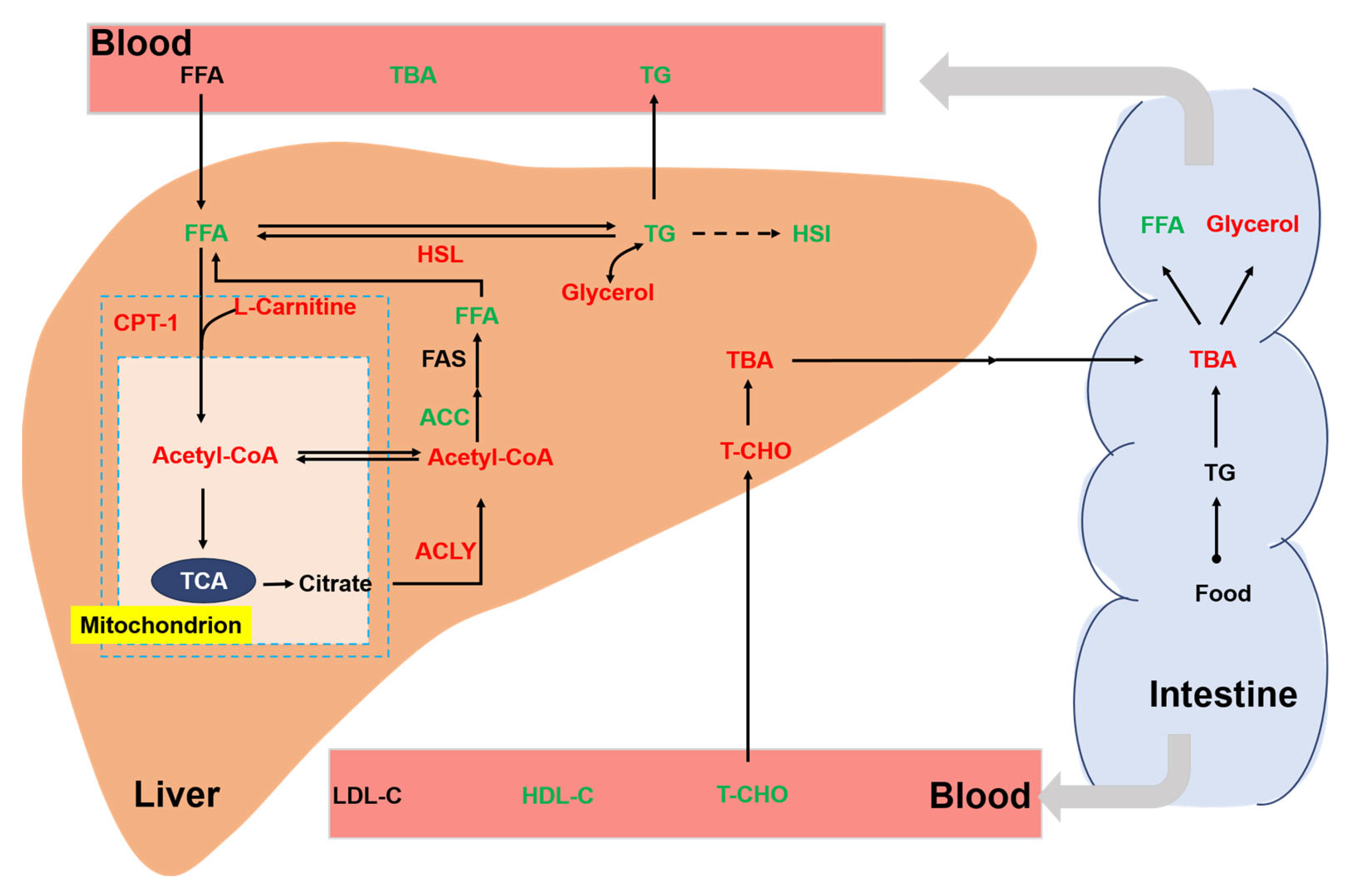 Biology 13 00263 g007 Biology 13 00263 g007