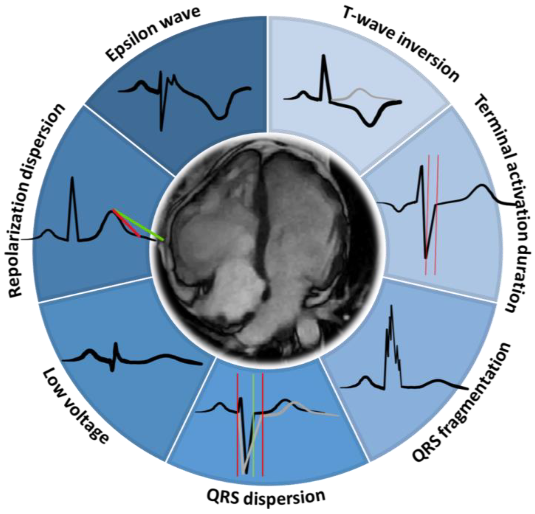 Biology 13 00265 g002 Biology 13 00265 g002