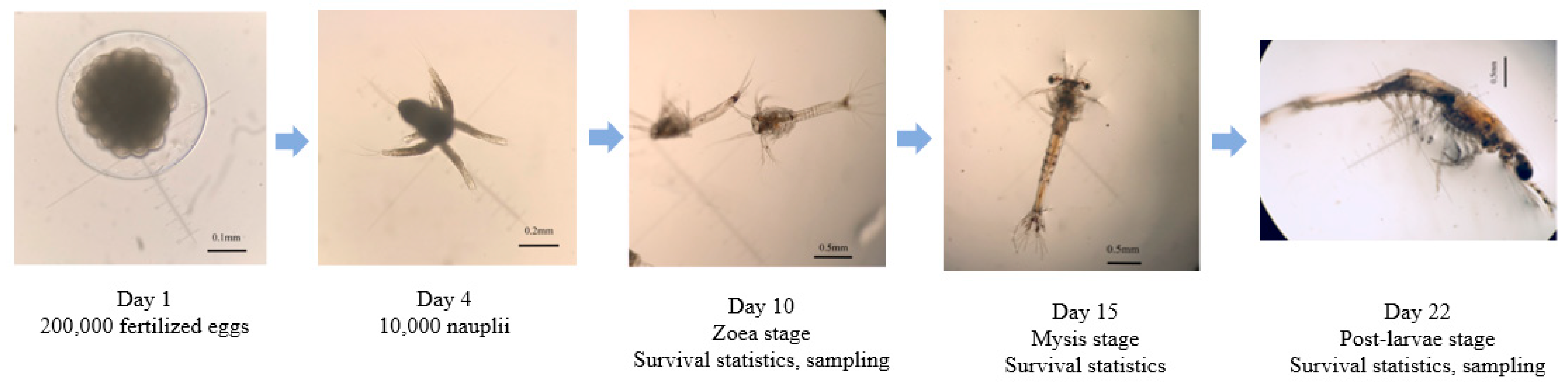 Biology 13 00268 g001 Biology 13 00268 g001