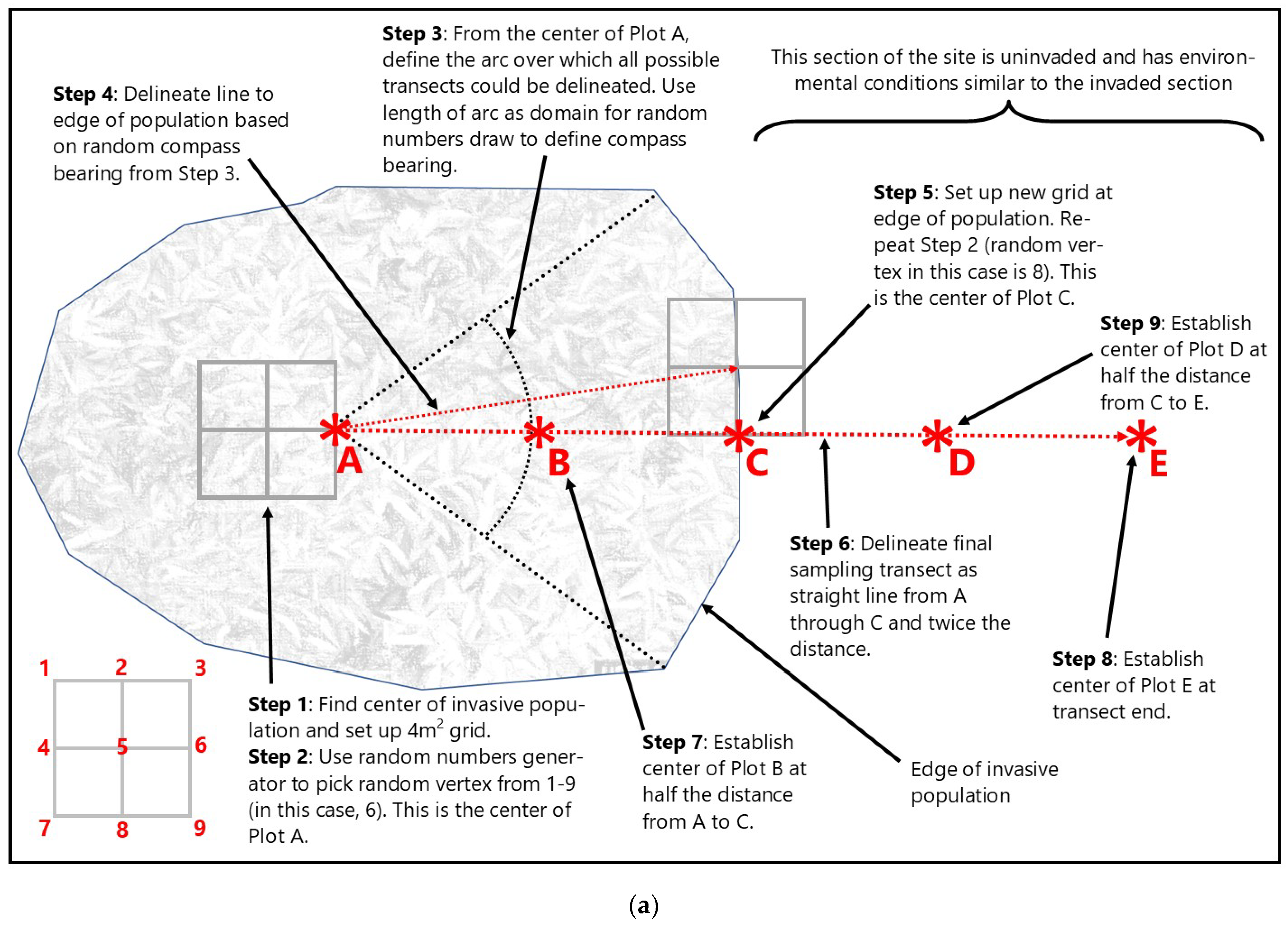 Biology 13 00275 g002a