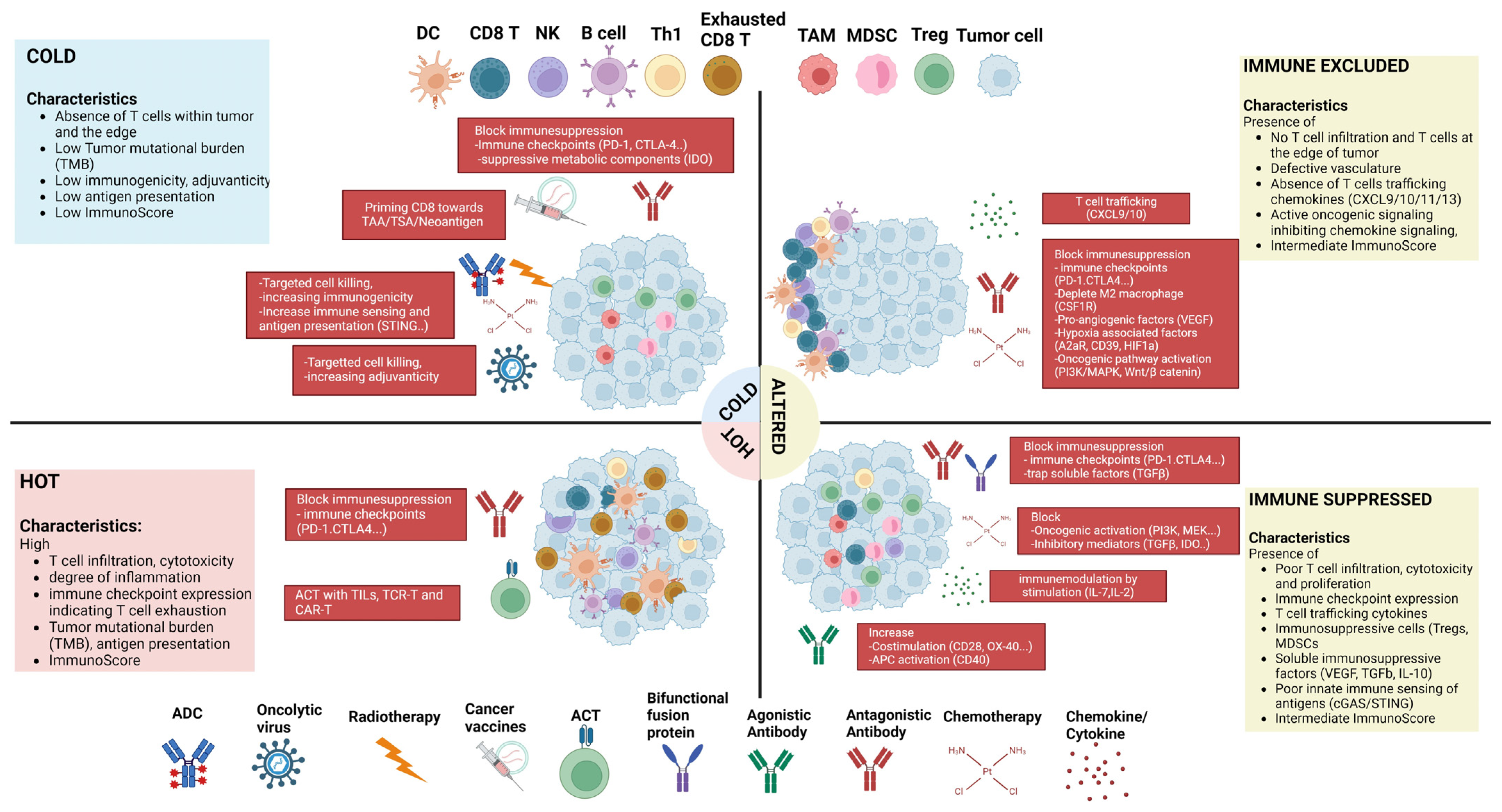 Biology 13 00307 g002