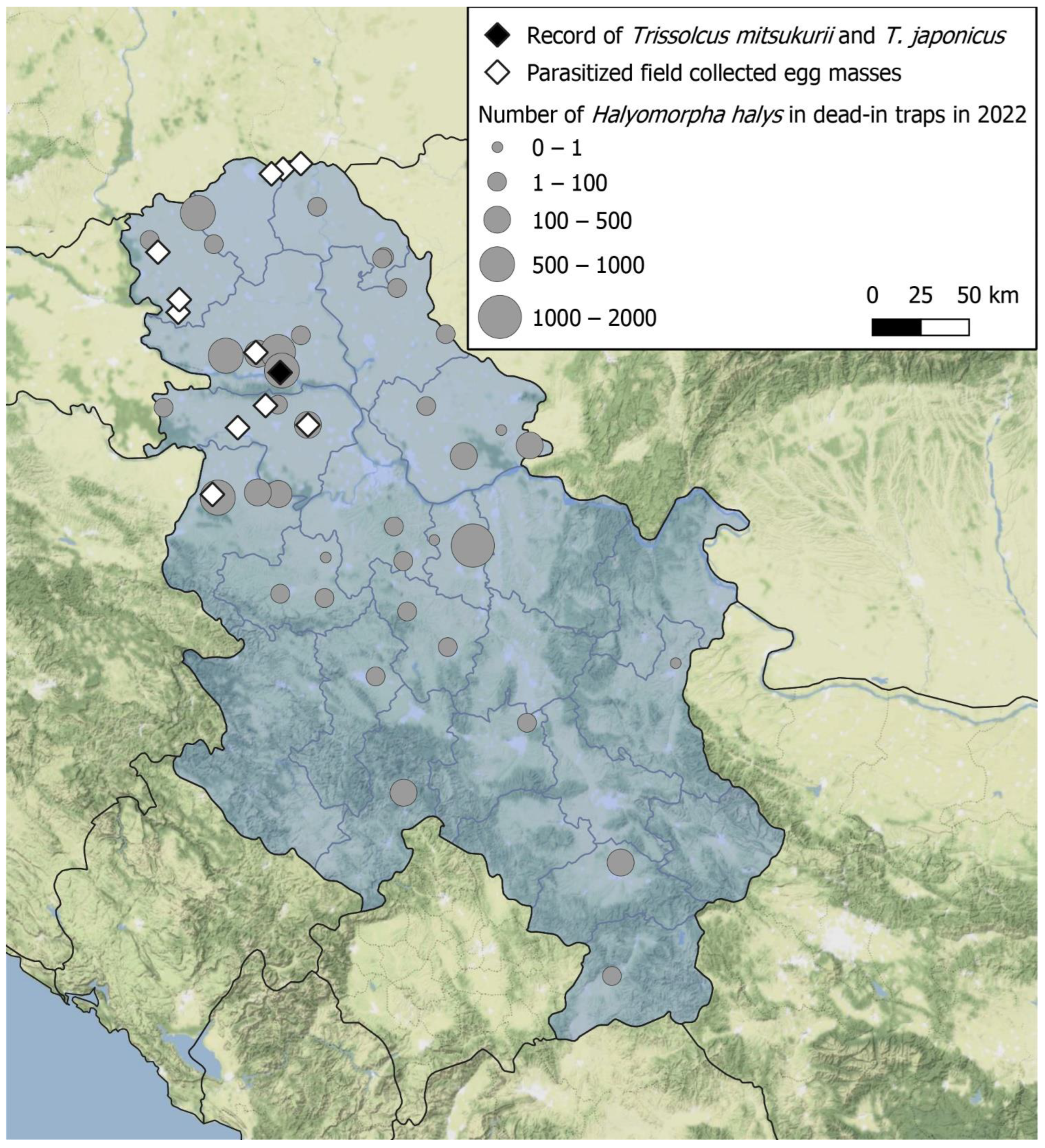 Biology 13 00316 g001 Biology 13 00316 g001