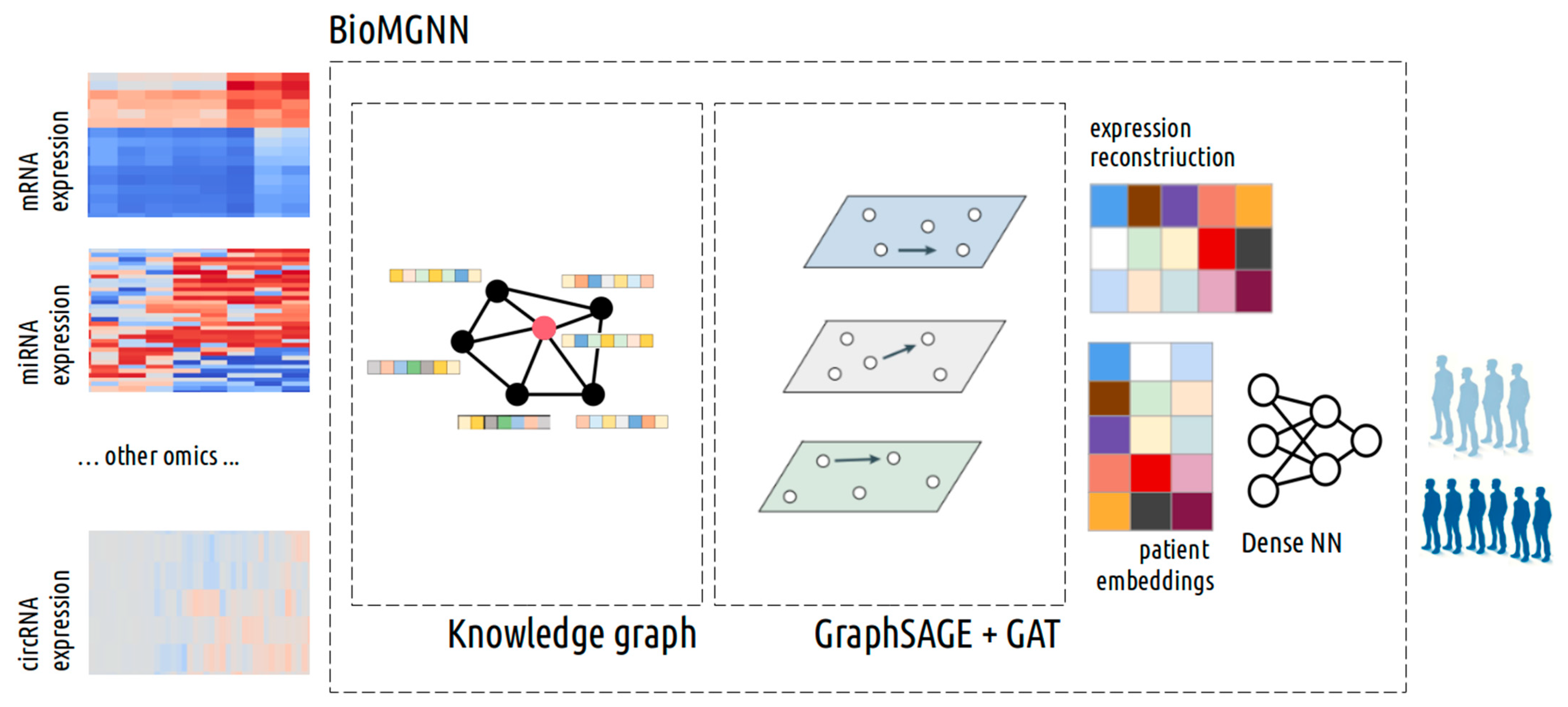 Biology 13 00338 g002