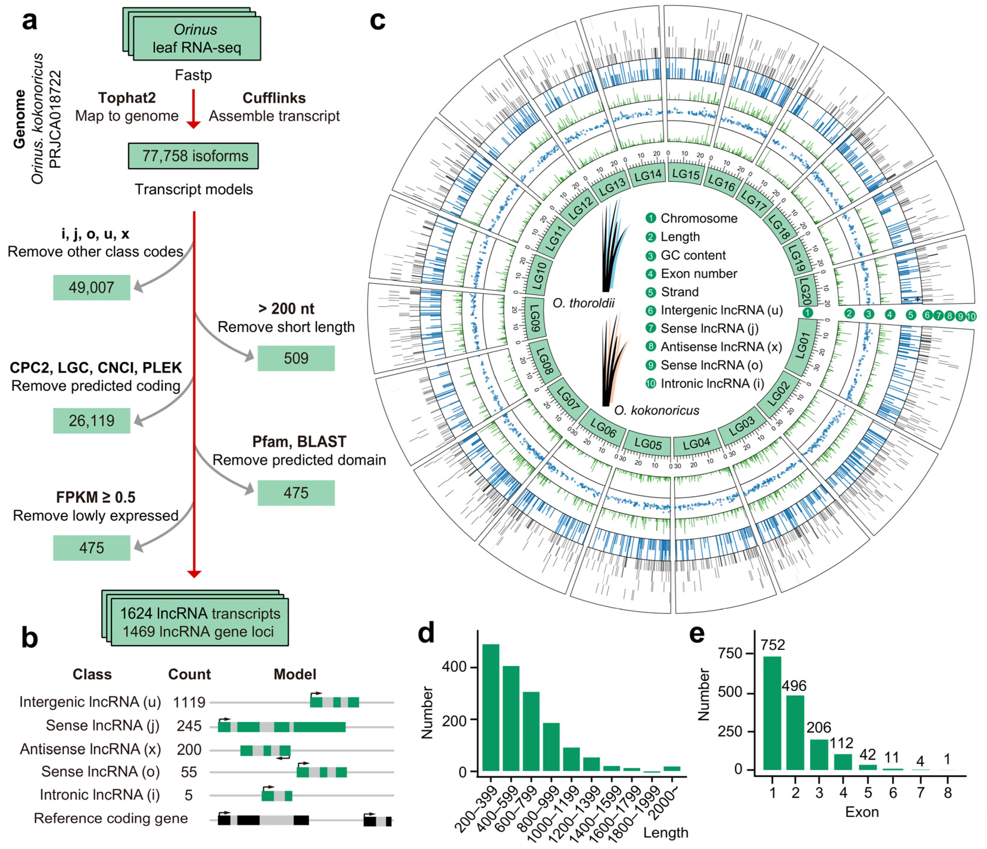 Biology 13 00349 g001