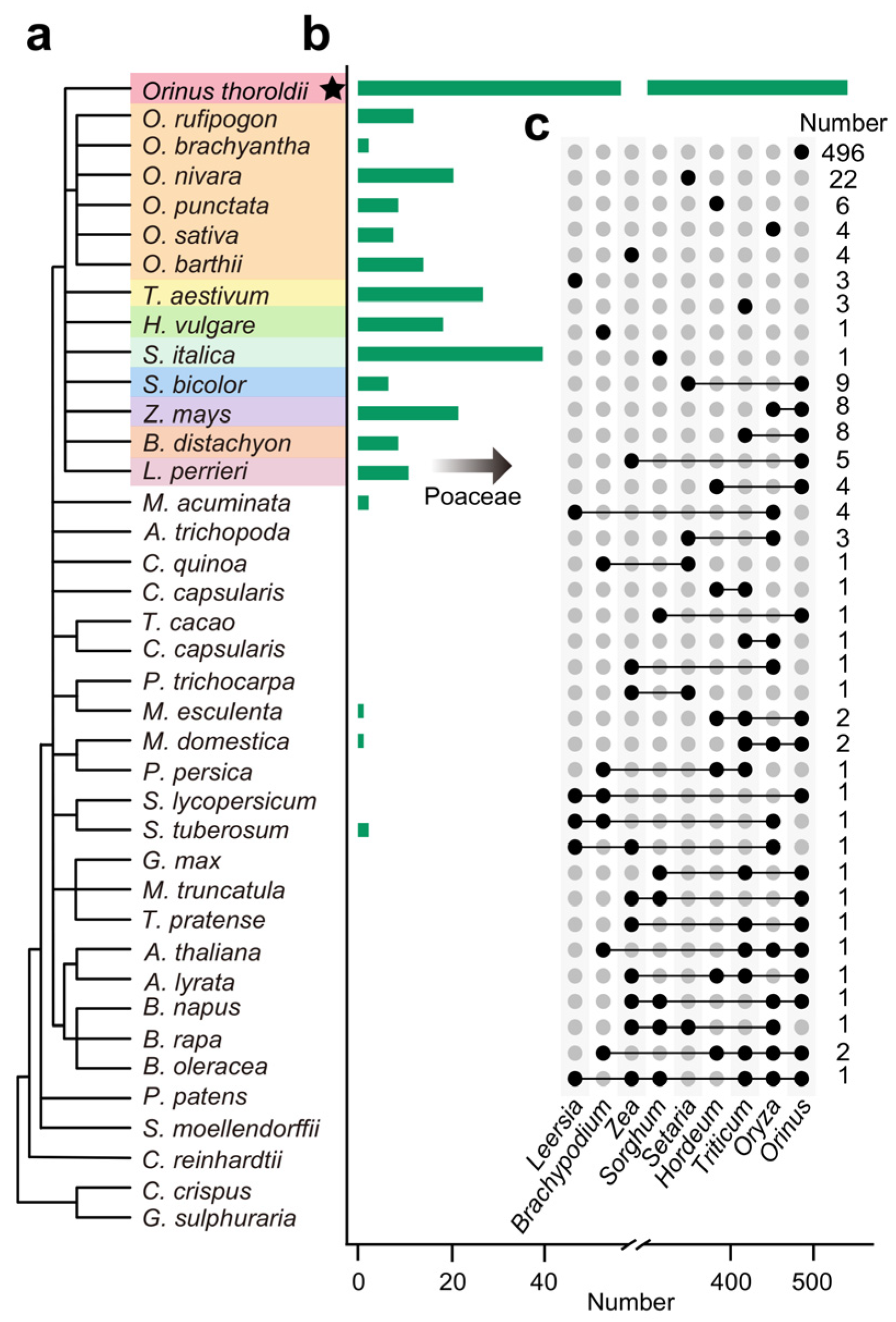 Biology 13 00349 g002