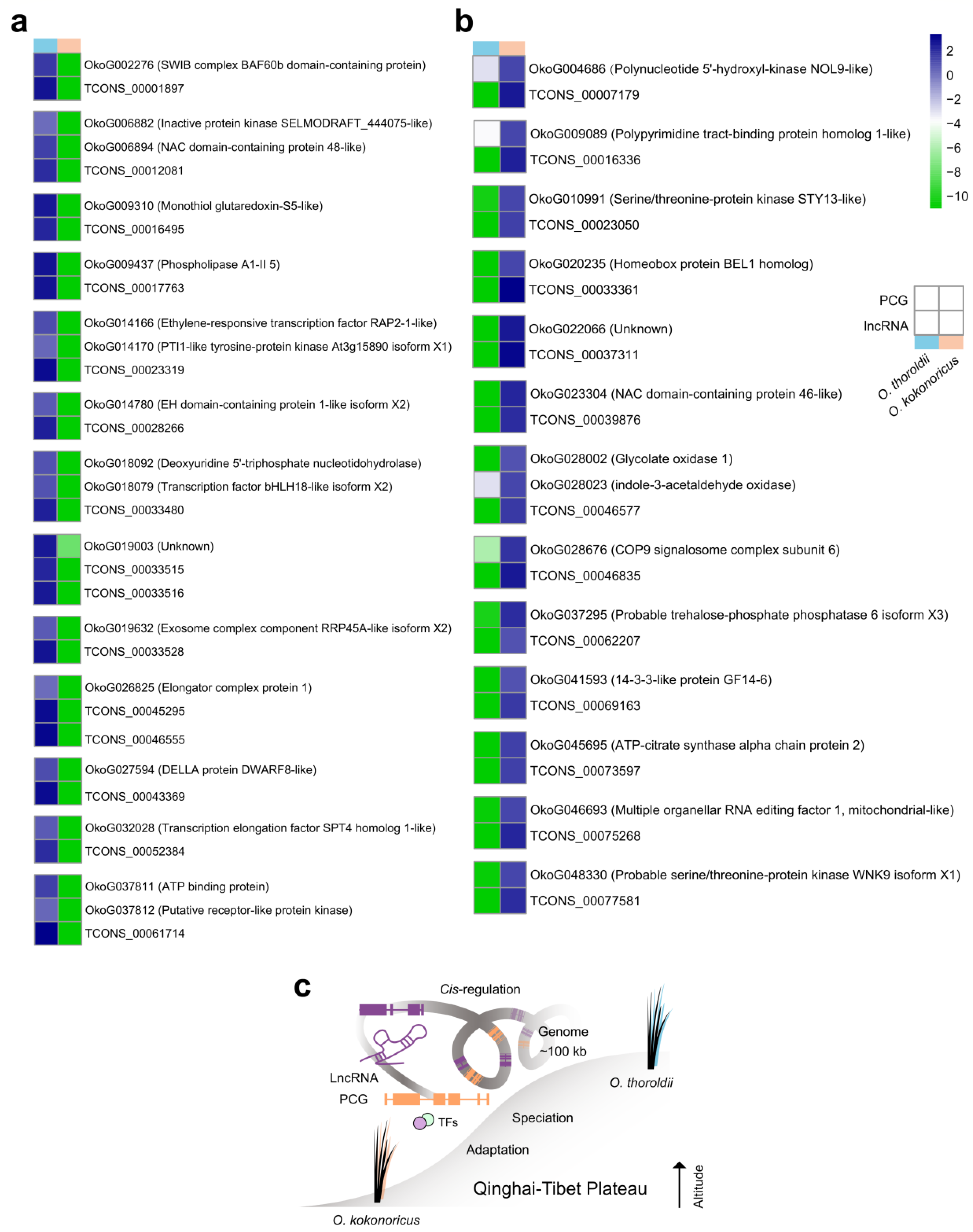 Biology 13 00349 g005
