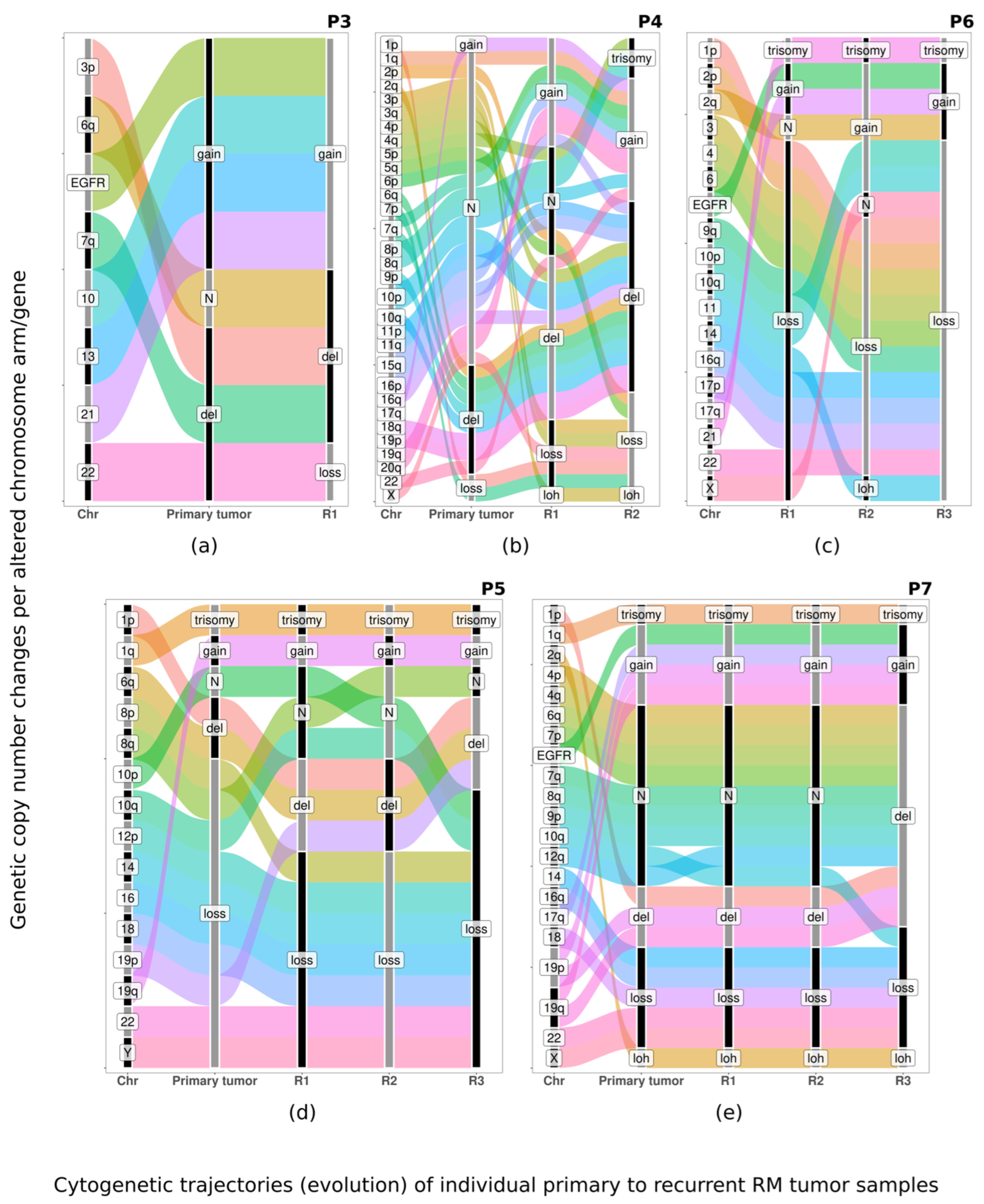 Biology 13 00350 g003