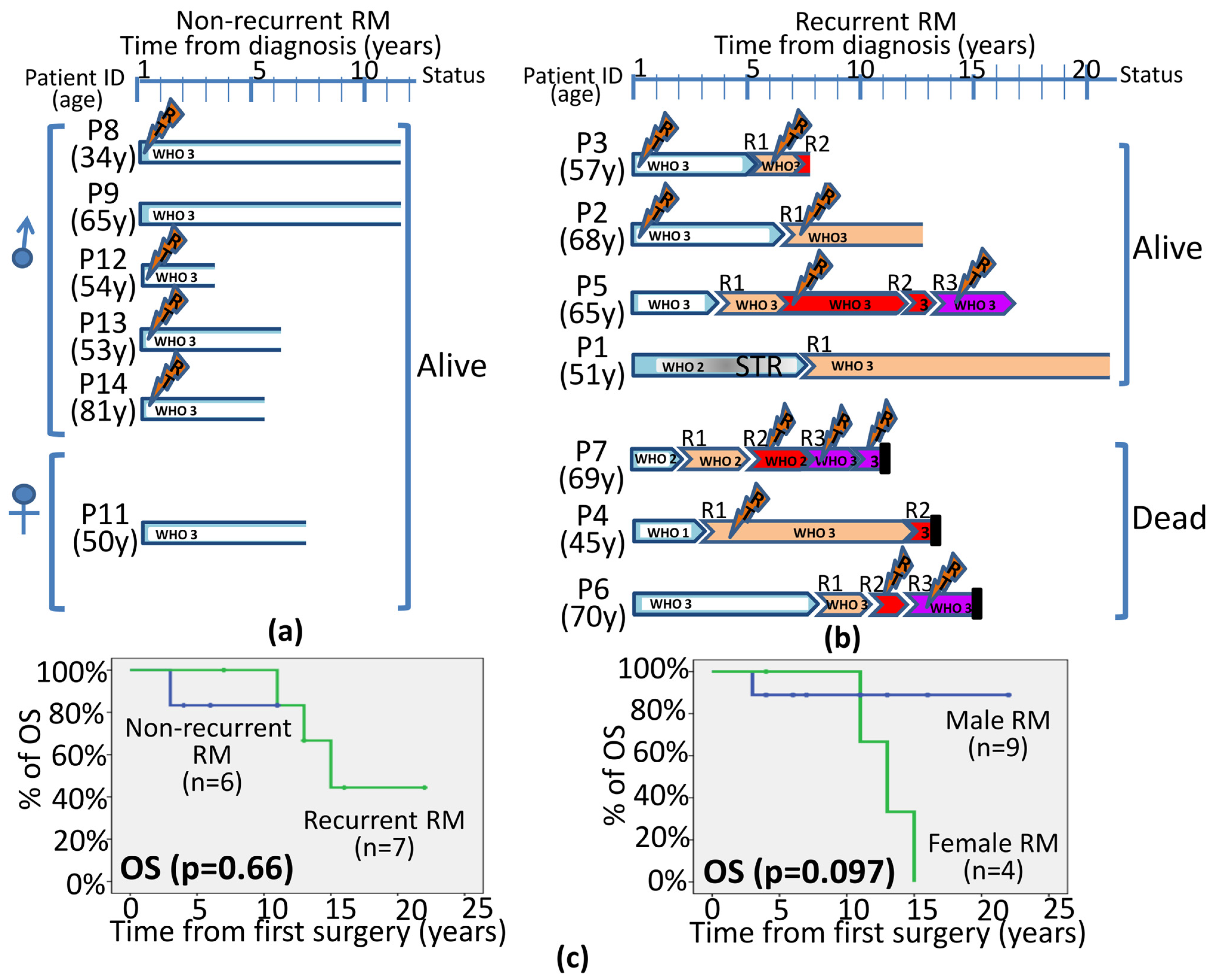 Biology 13 00350 g004