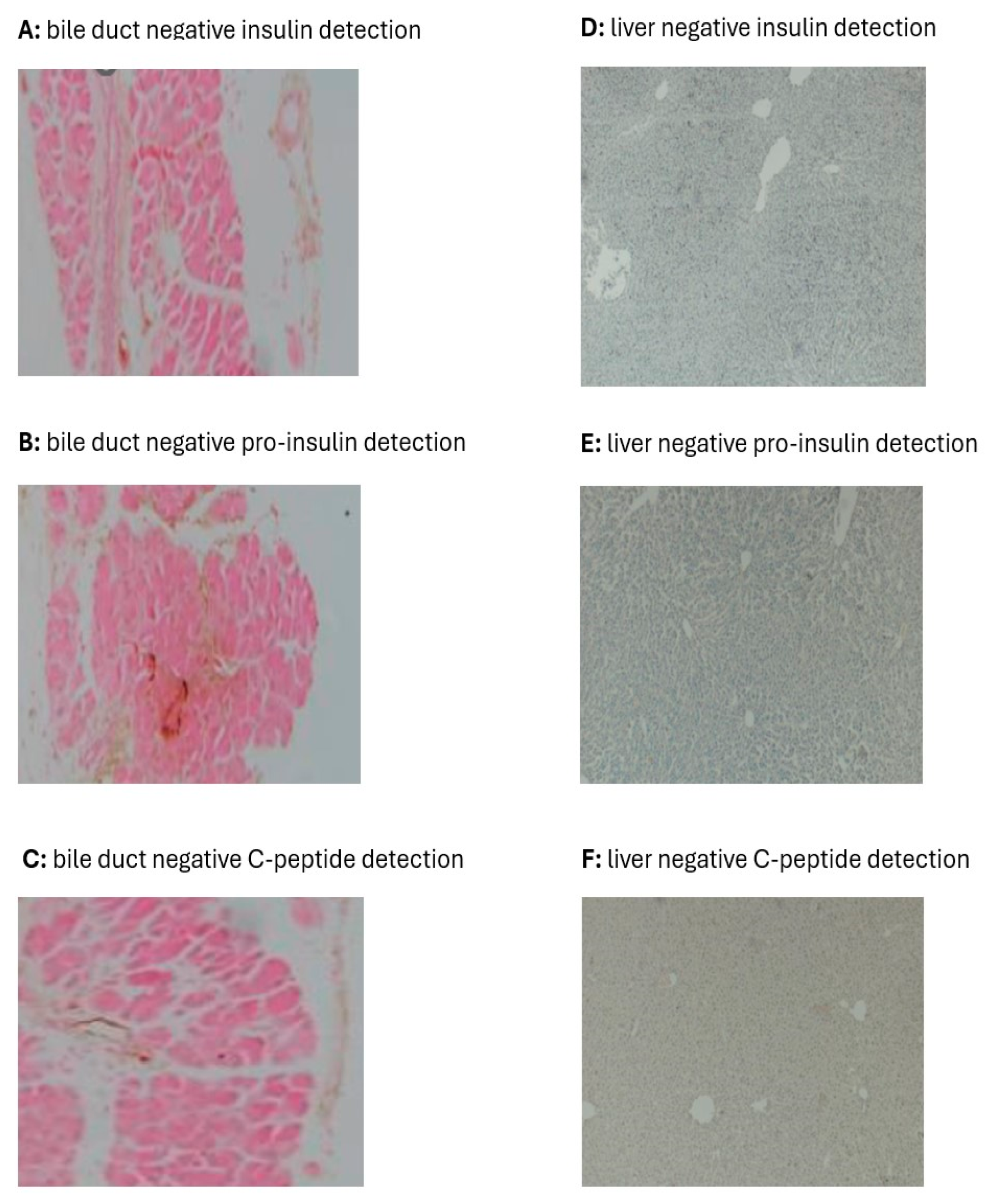 Biology 13 00355 g004 Biology 13 00355 g004
