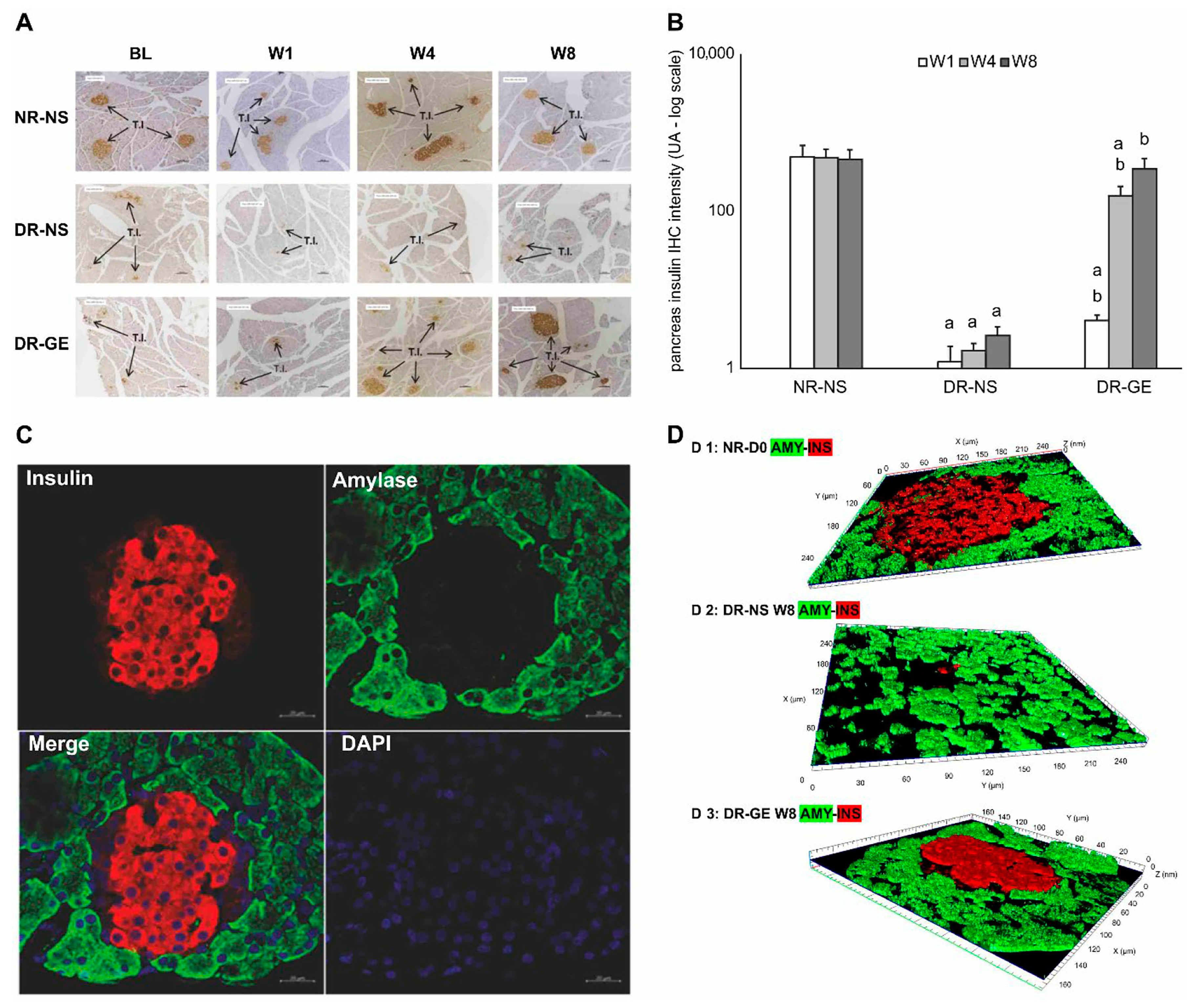 Biology 13 00355 g005 Biology 13 00355 g005